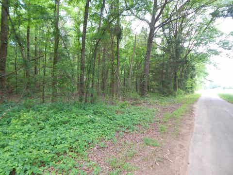 Vacant Land For Sale - TBD 3.07 ACRE Woodchuck Rd<br/> Pittsburg, TX 75686