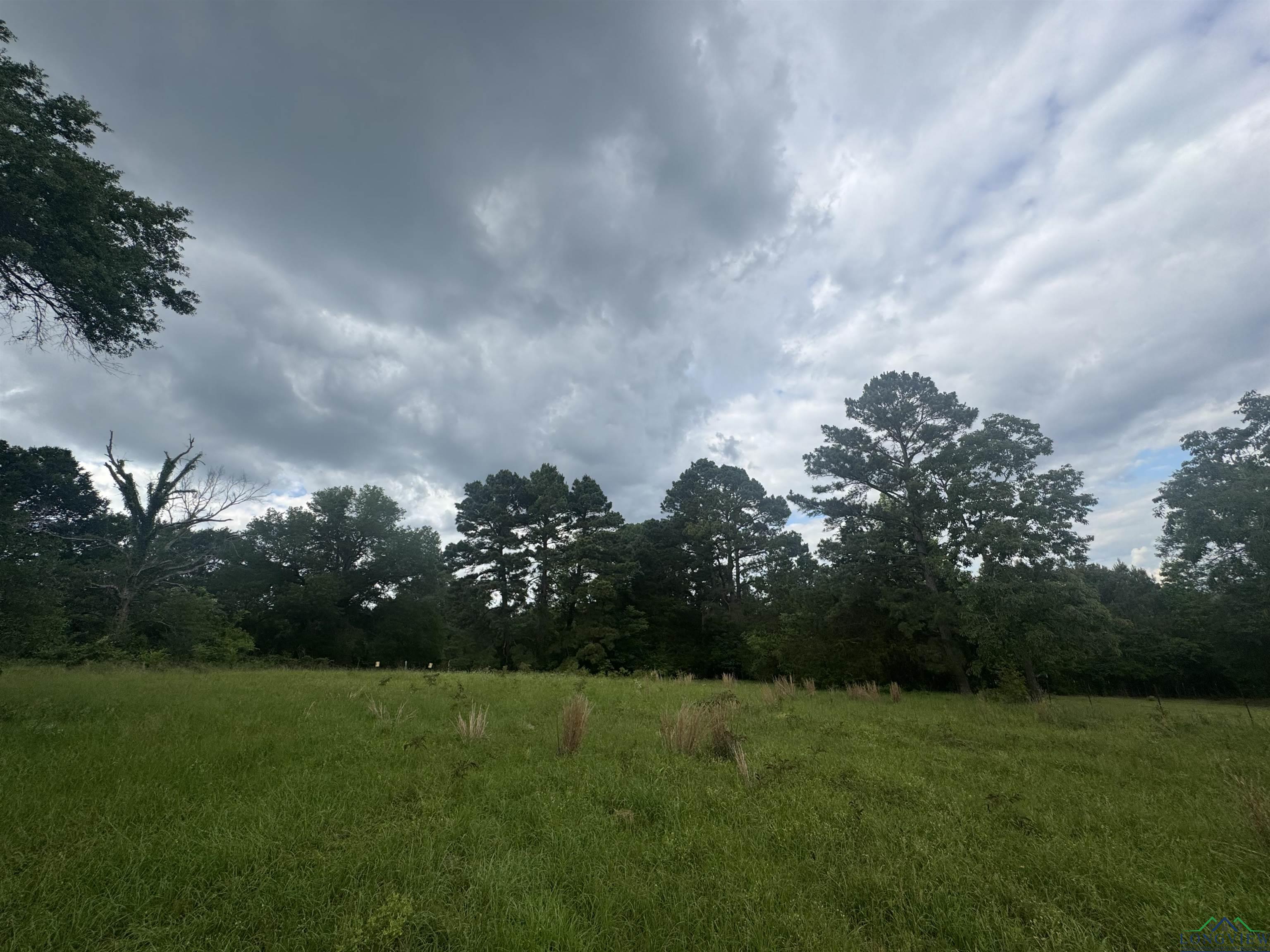 TBD 2174 Cr 2174, Tatum, Texas image 9