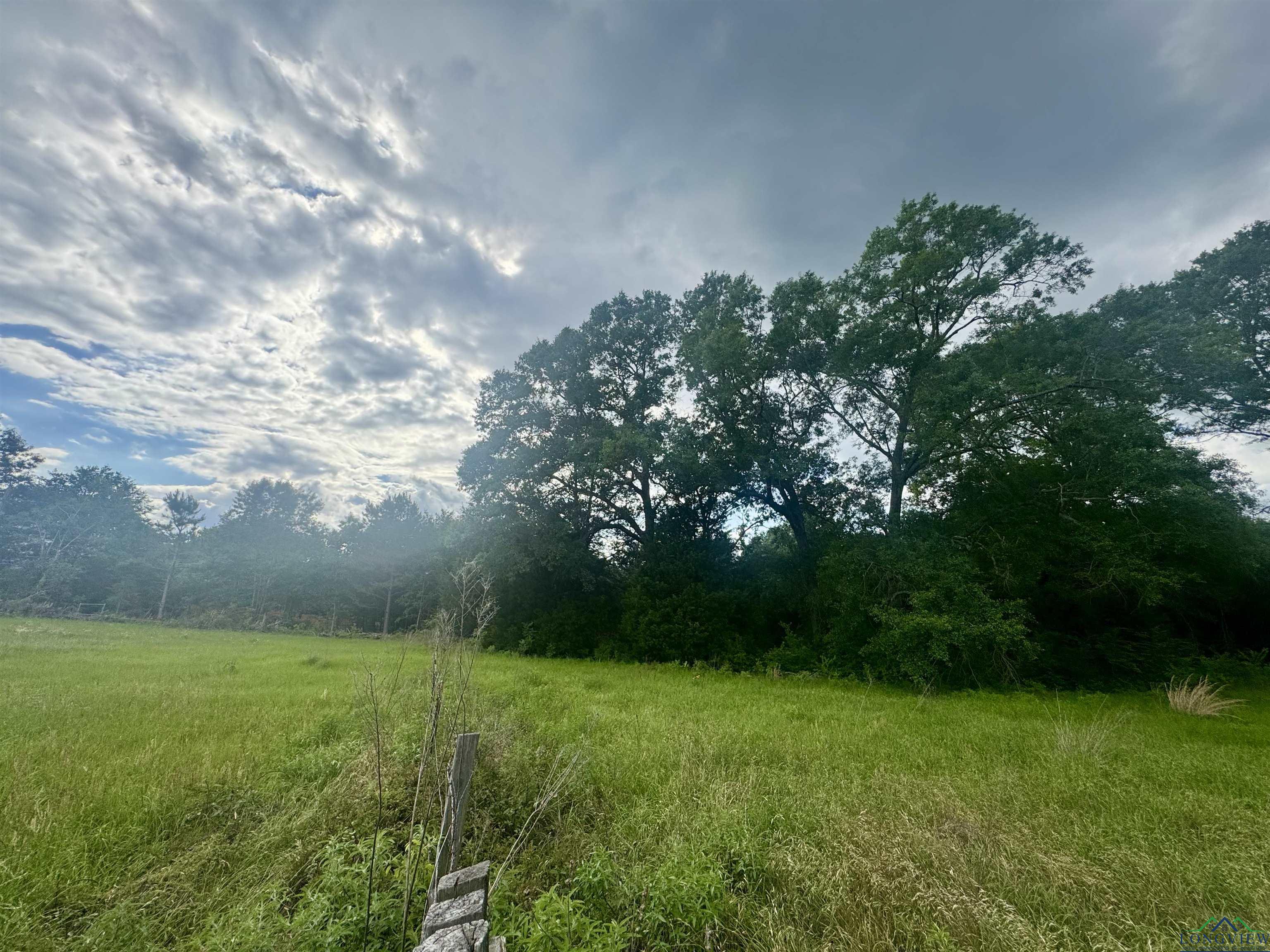 TBD 2174 Cr 2174, Tatum, Texas image 7