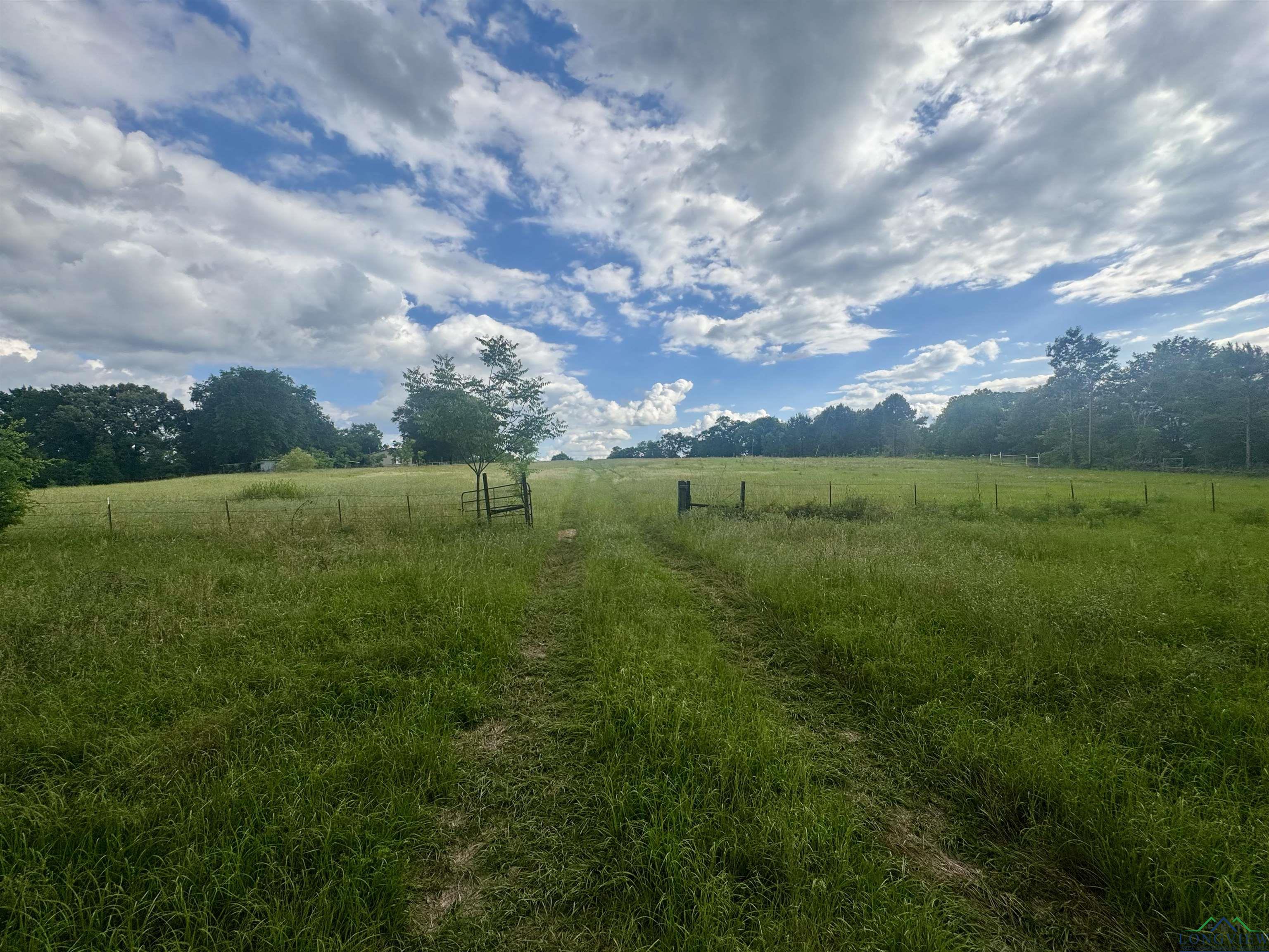 TBD 2174 Cr 2174, Tatum, Texas image 13