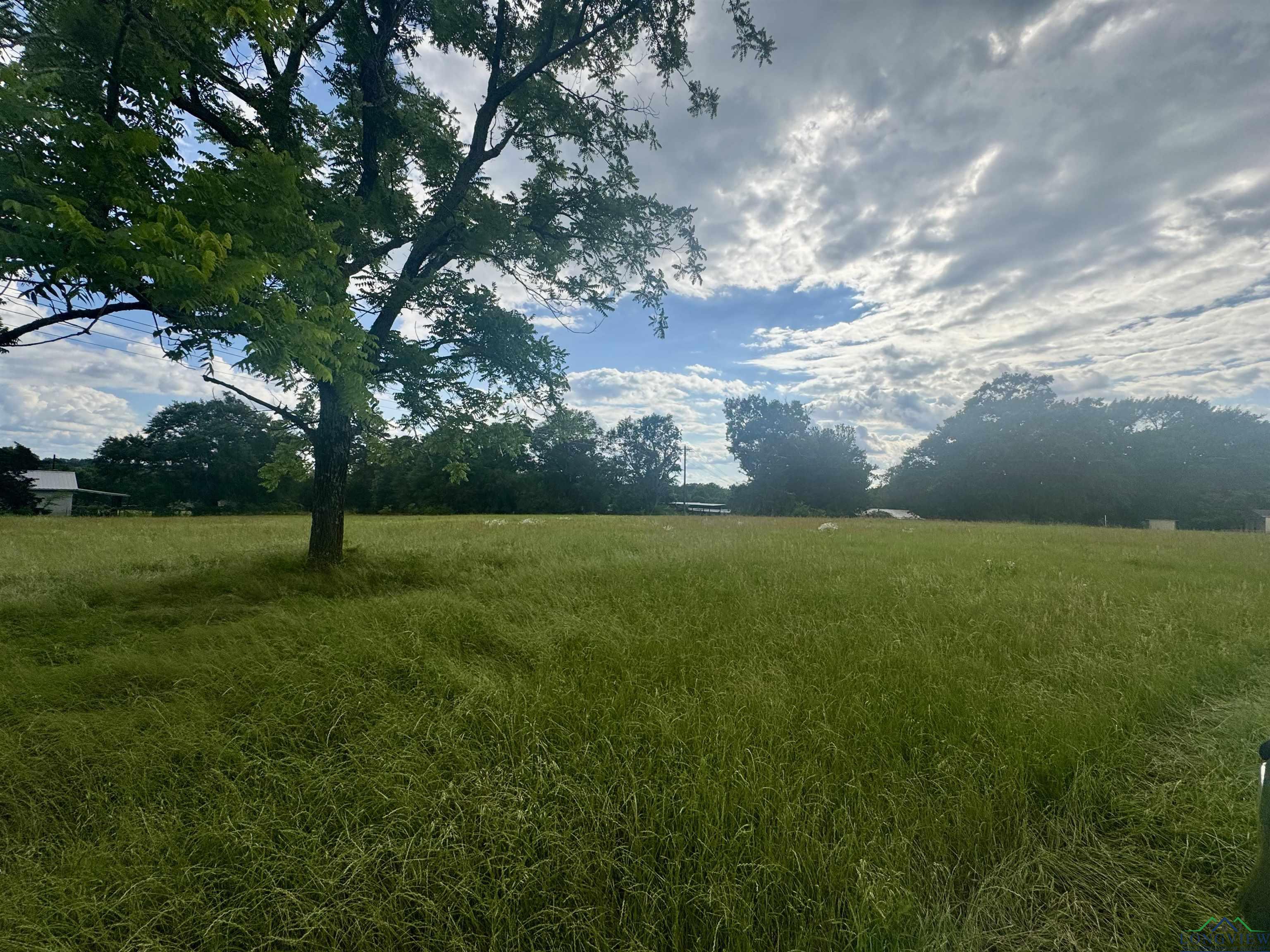 TBD 2174 Cr 2174, Tatum, Texas image 4