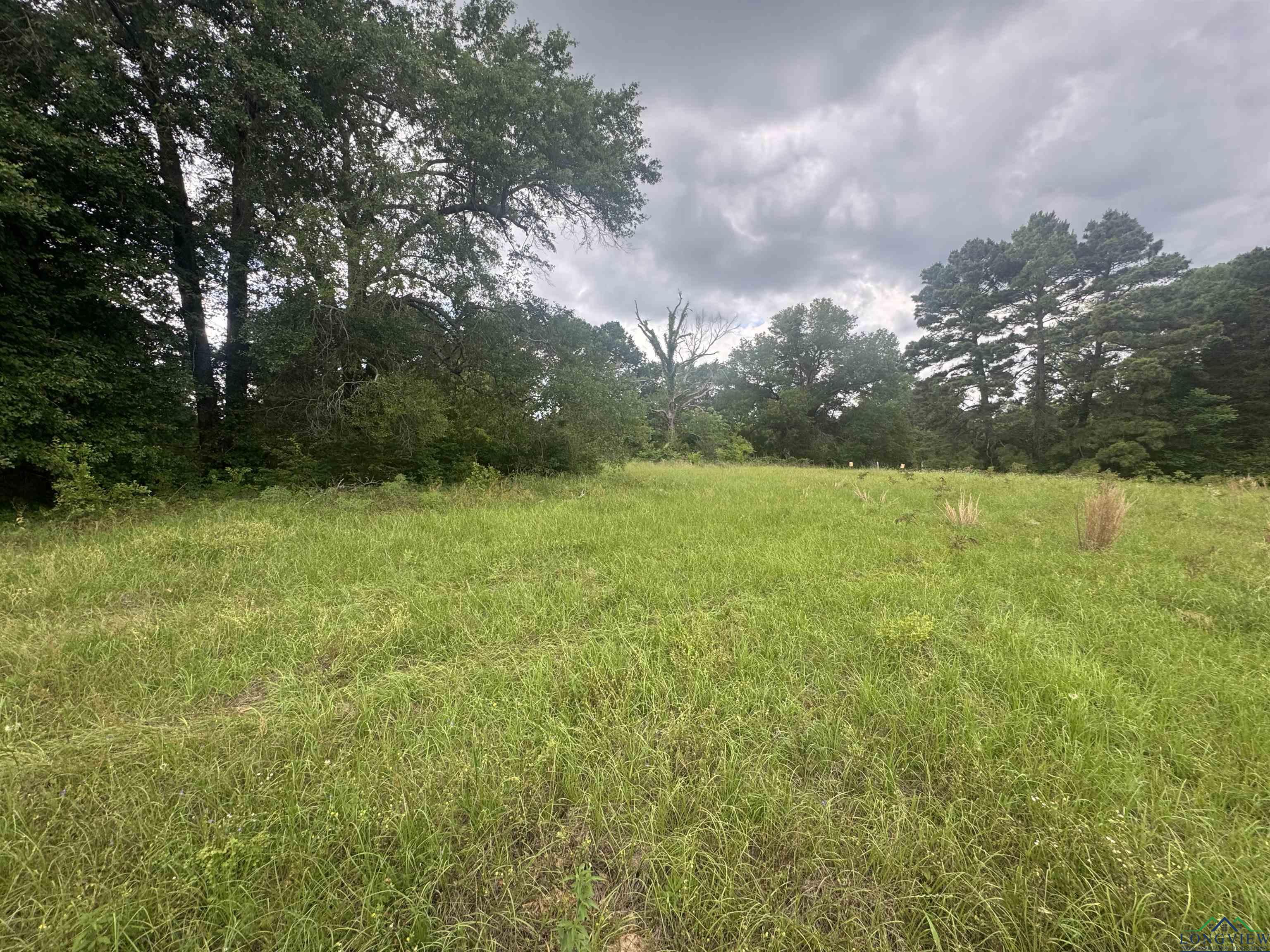 TBD 2174 Cr 2174, Tatum, Texas image 8