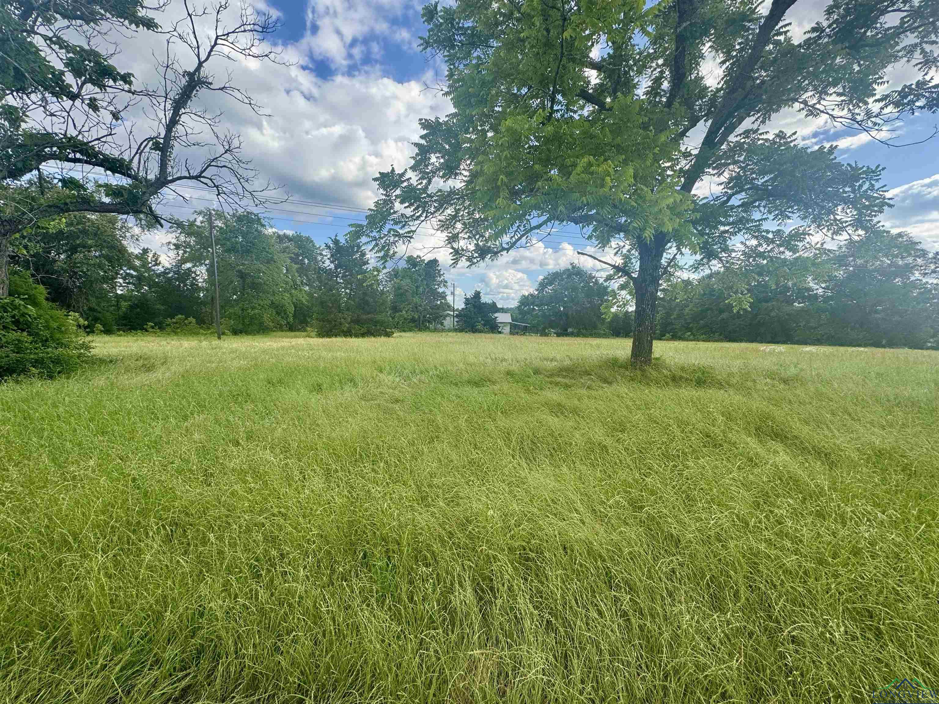 TBD 2174 Cr 2174, Tatum, Texas image 1