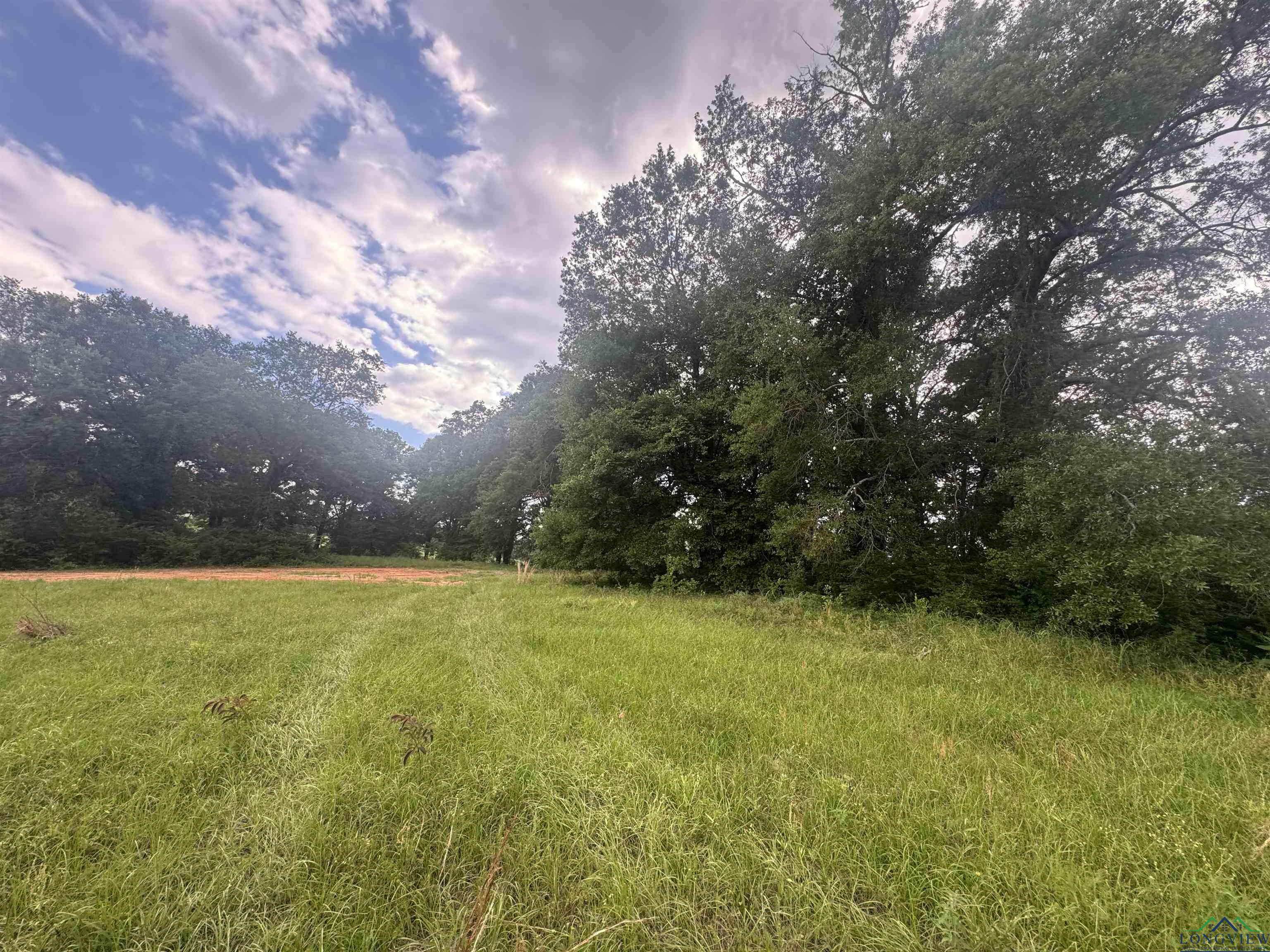 TBD 2174 Cr 2174, Tatum, Texas image 10