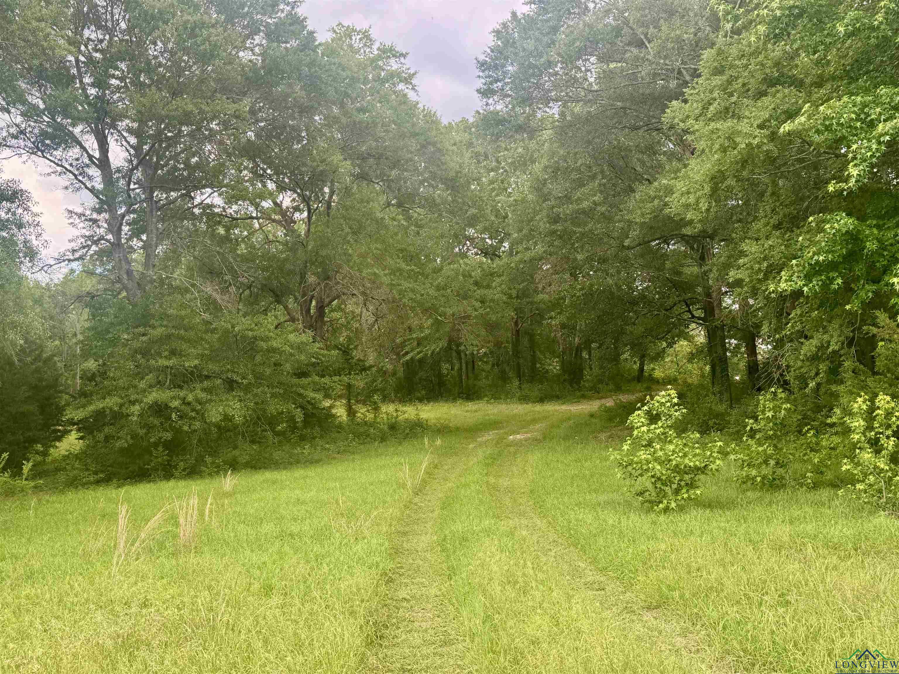 TBD 2174 Cr 2174, Tatum, Texas image 6