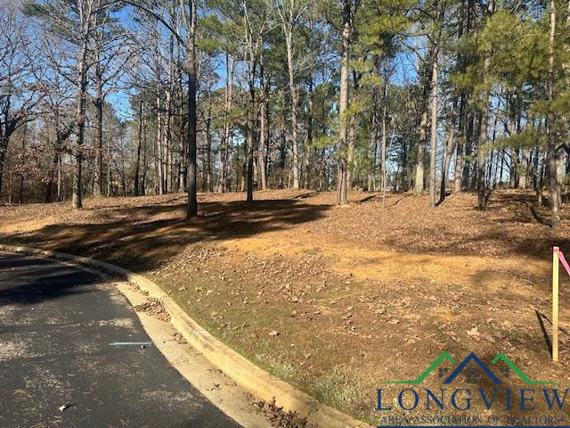 2112 Lakewood Ln, Kilgore, Texas image 11