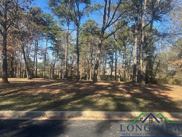 2112 Lakewood Ln, Kilgore, Texas image 19
