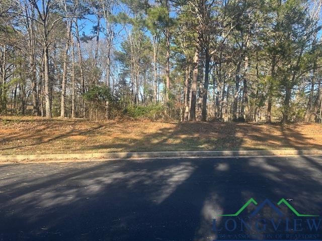 2112 Lakewood Ln, Kilgore, Texas image 17