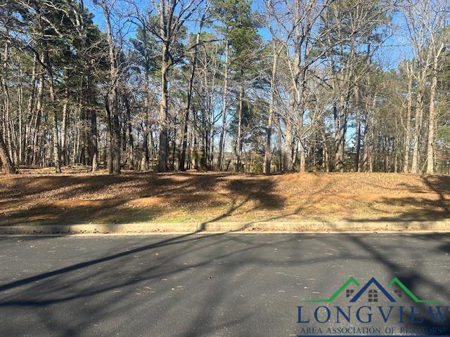 2112 Lakewood Ln, Kilgore, Texas image 15