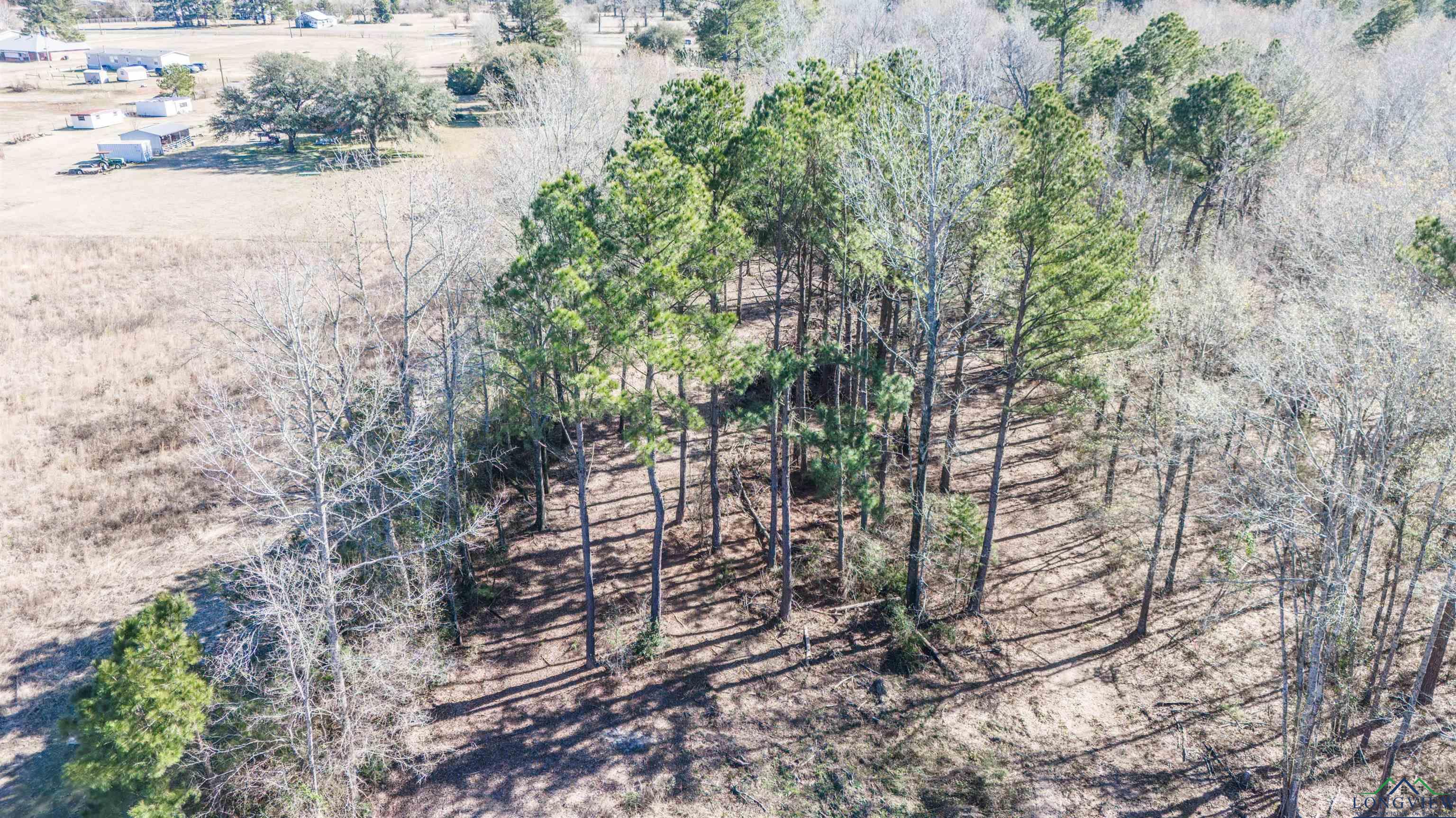 8343 E N Hwy 79 Boulevard, De Berry, Texas image 8