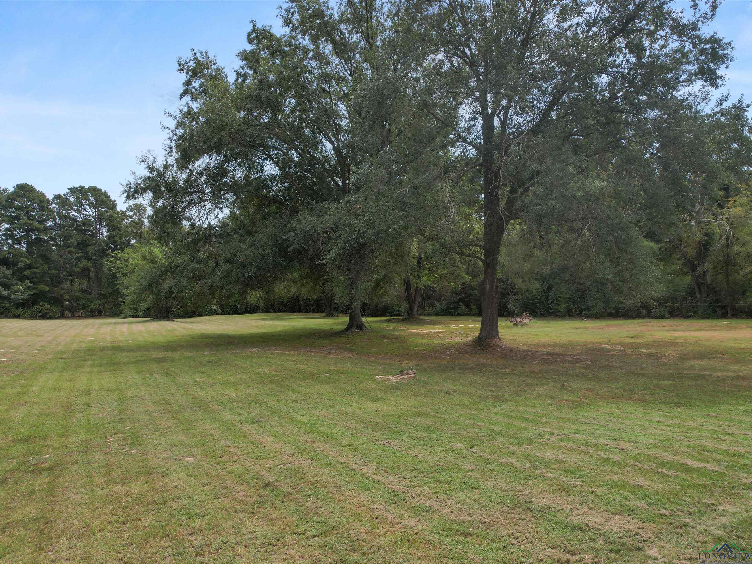 1077 Elderberry Rd, Gilmer, Texas image 1