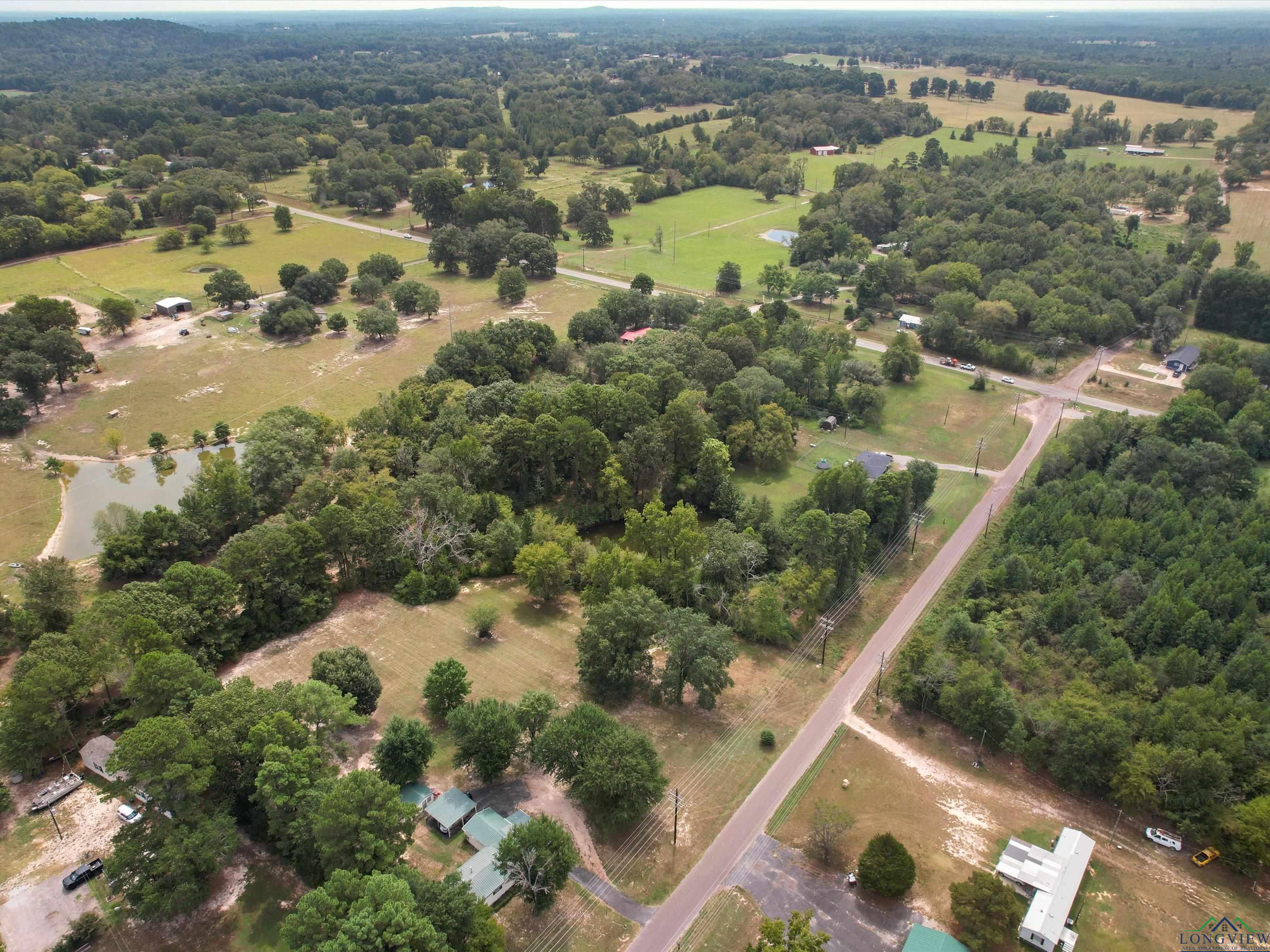 1077 Elderberry Rd, Gilmer, Texas image 4