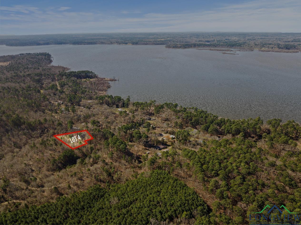 TBD Theron Drive Lot #14/16, Lone Star, Texas image 1