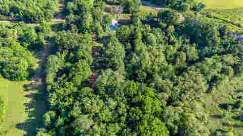 Homes For Sale - 2376 Panda Rd<br/> Gilmer, TX 75644