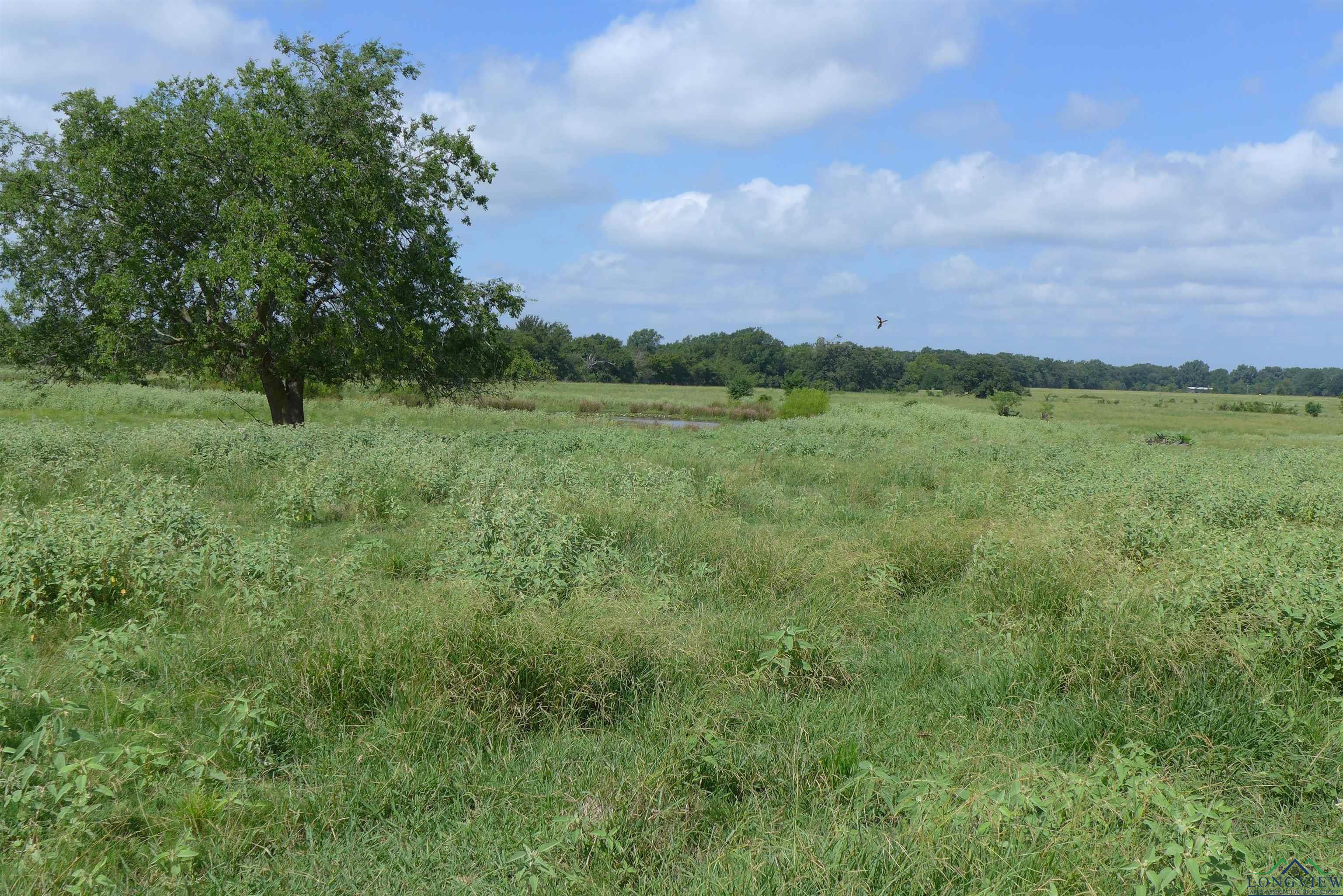 2529 Cr 1013, Mount Vernon, Texas image 17