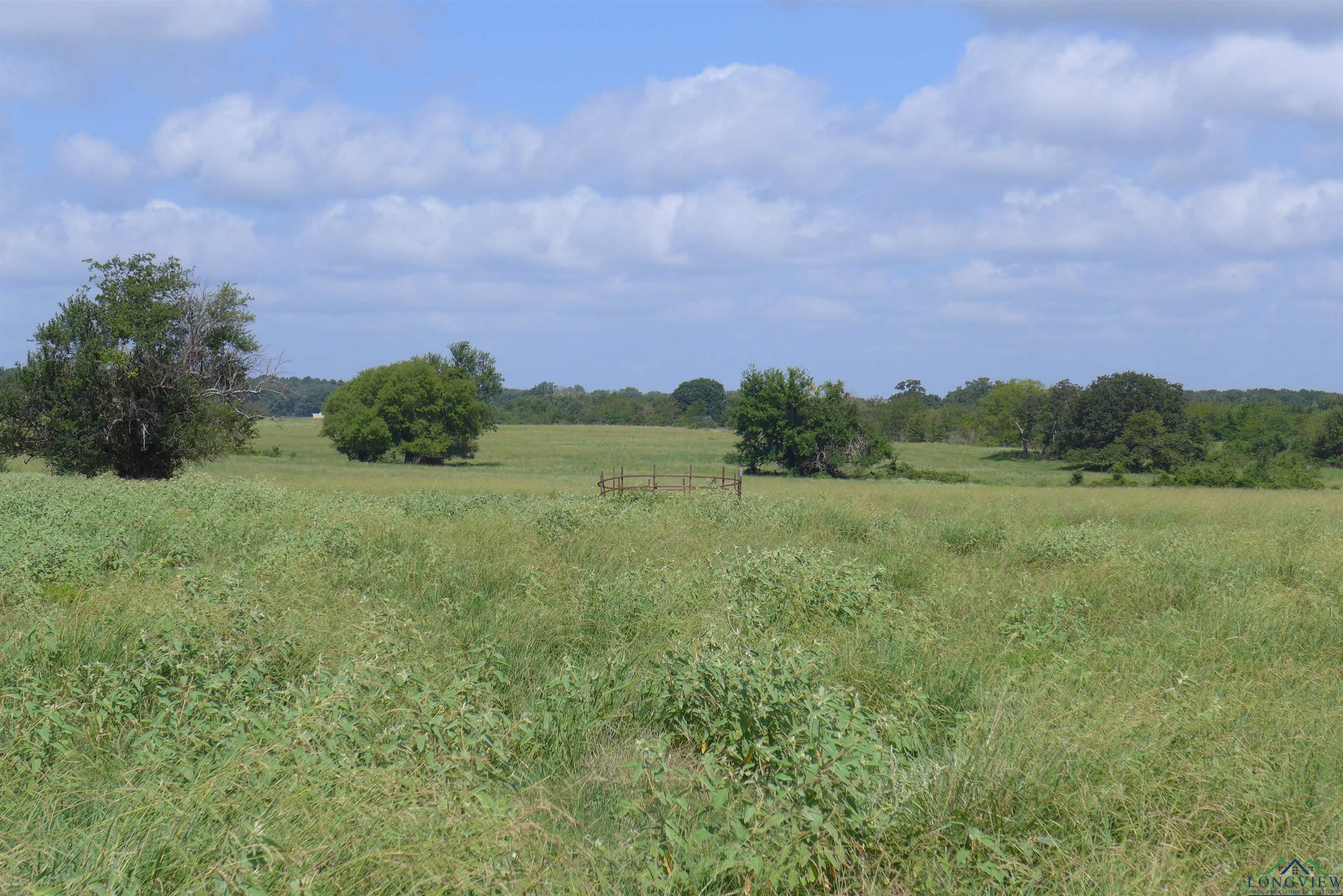 2529 Cr 1013, Mount Vernon, Texas image 13