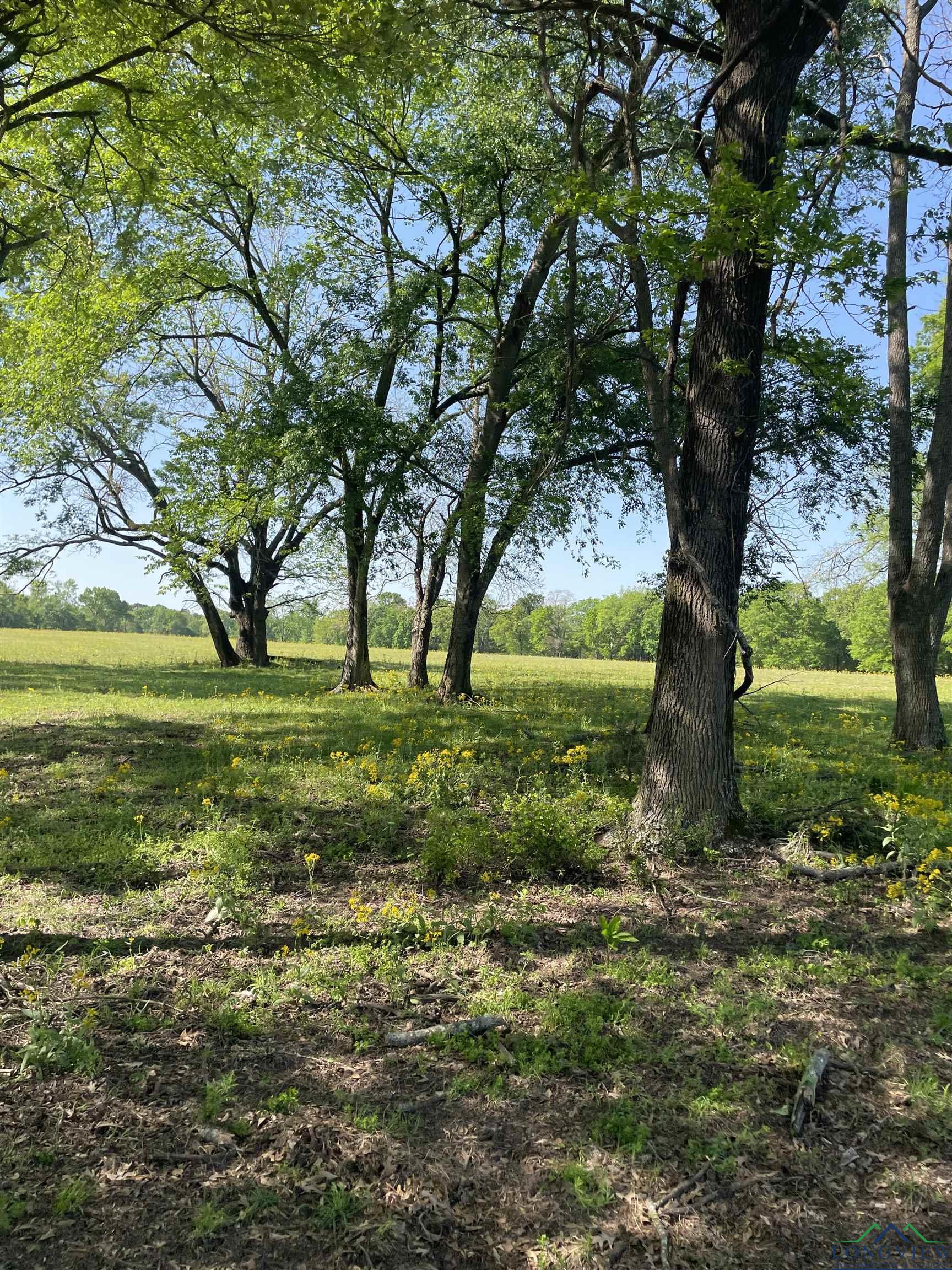 TBD Fm 2455, Pittsburg, Texas image 7