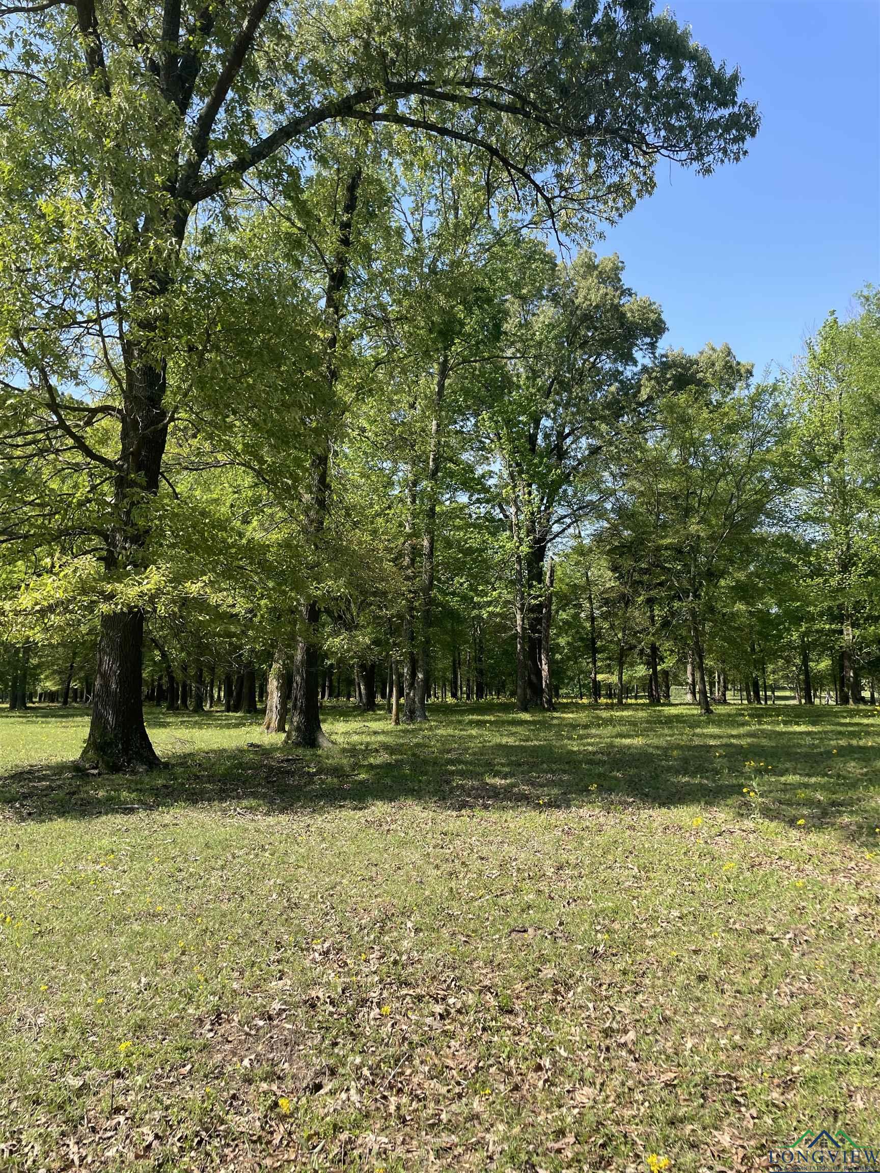 TBD Fm 2455, Pittsburg, Texas image 14