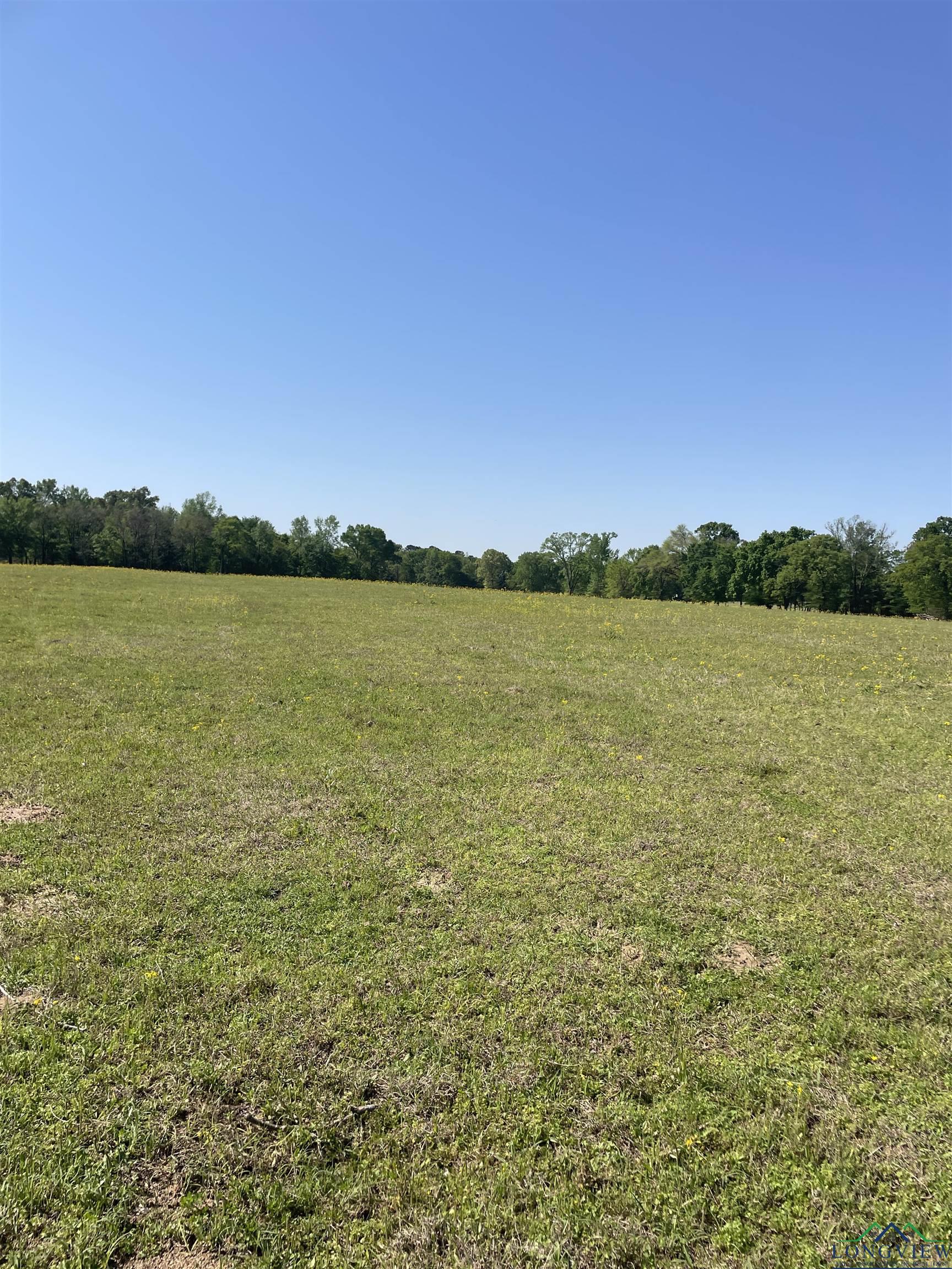 TBD Fm 2455, Pittsburg, Texas image 11