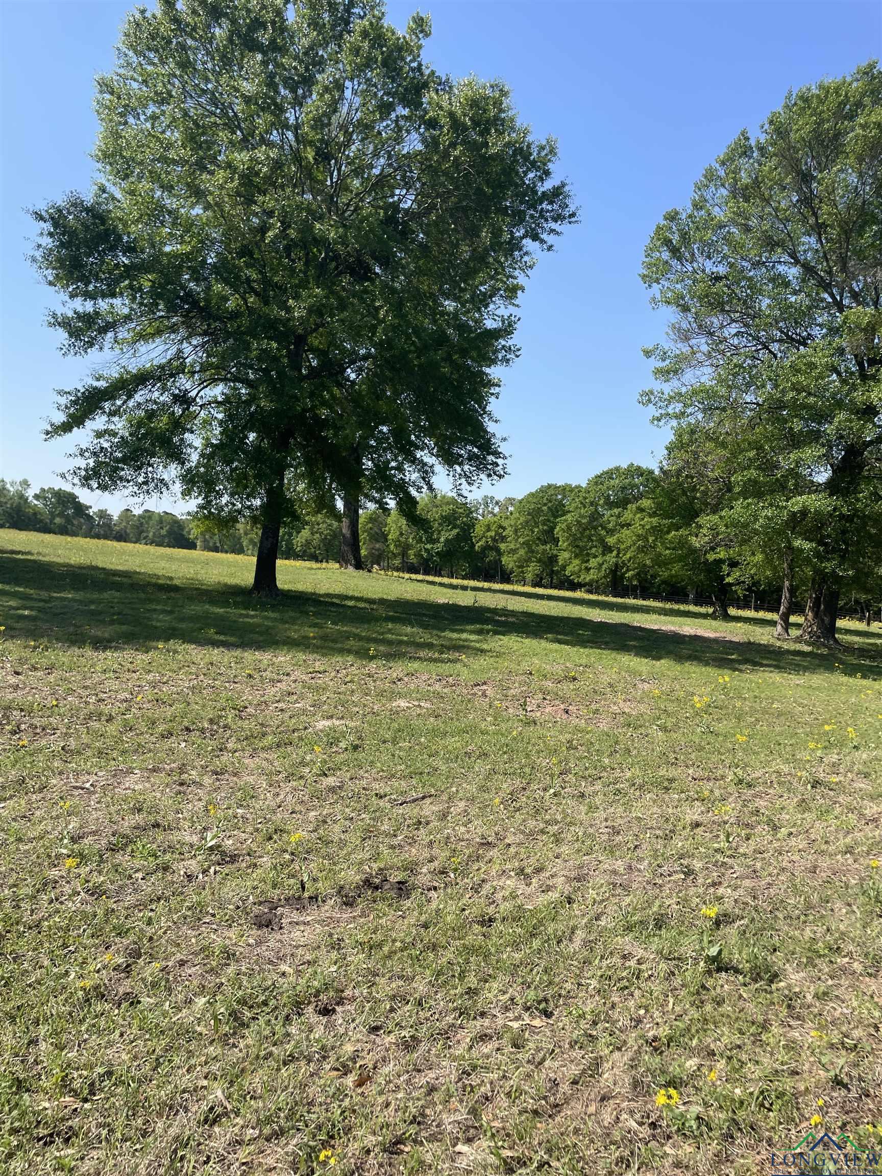 TBD Fm 2455, Pittsburg, Texas image 10