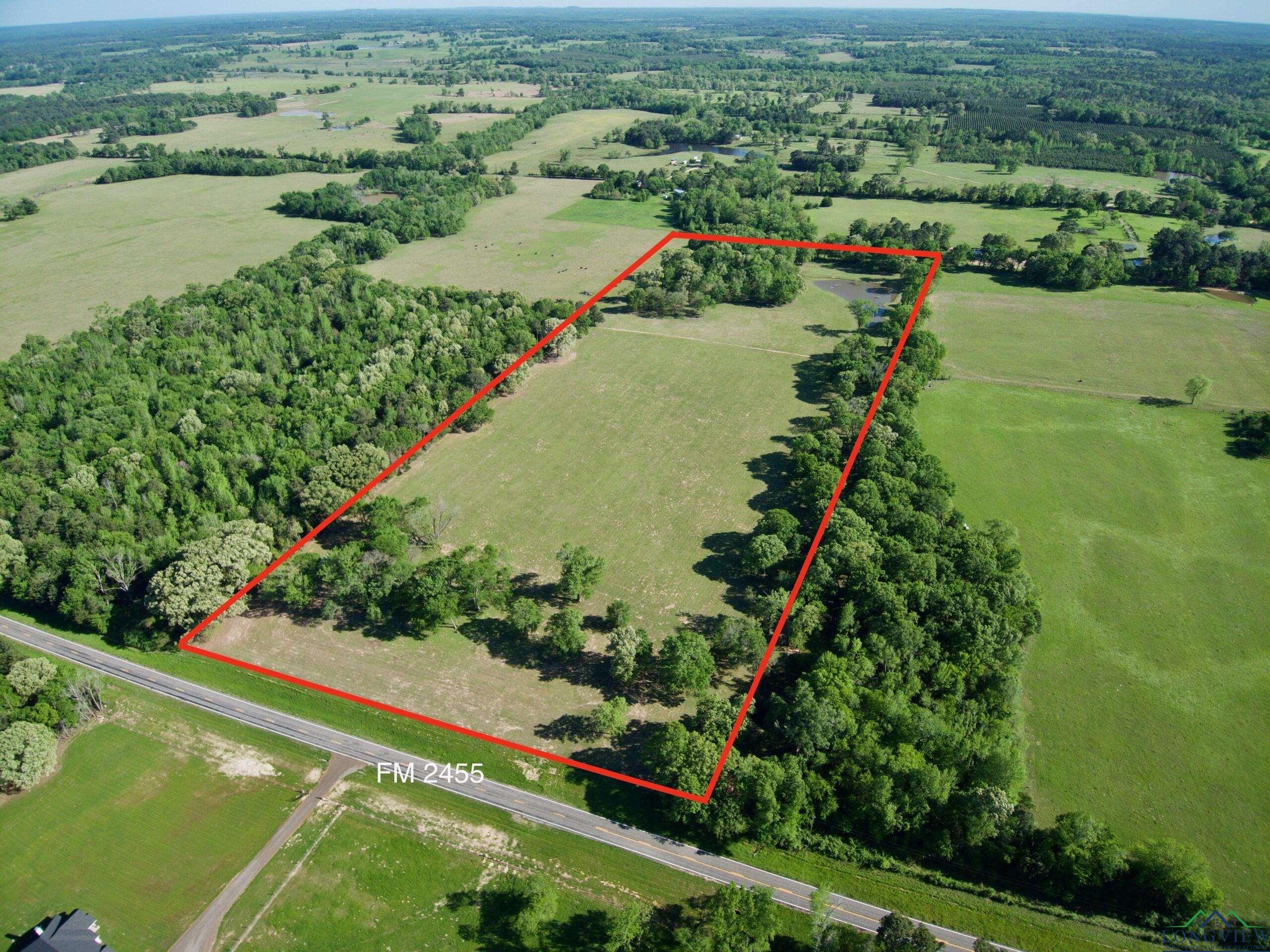 TBD Fm 2455, Pittsburg, Texas image 8