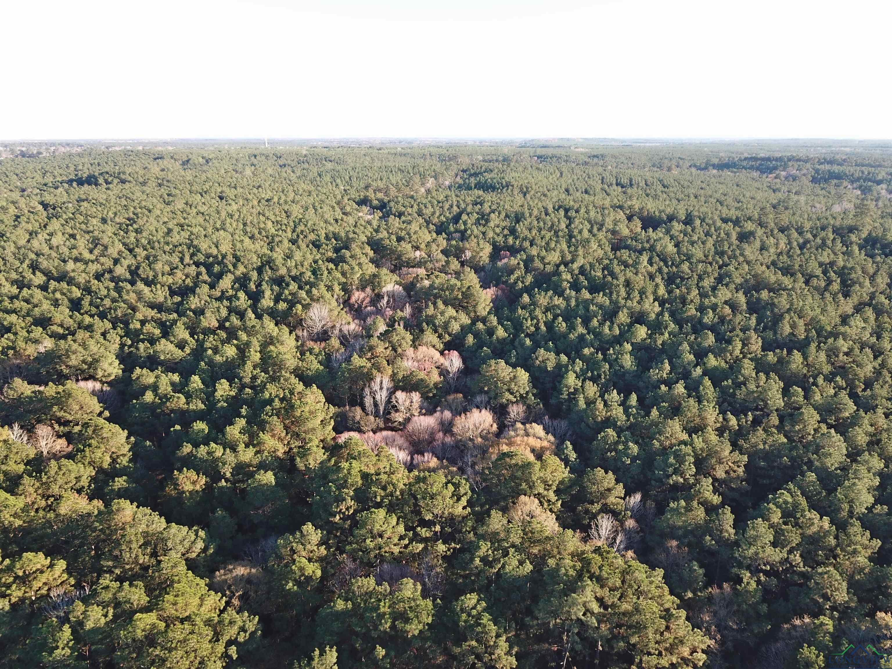 TBD Cr 405, San Augustine, Texas image 43