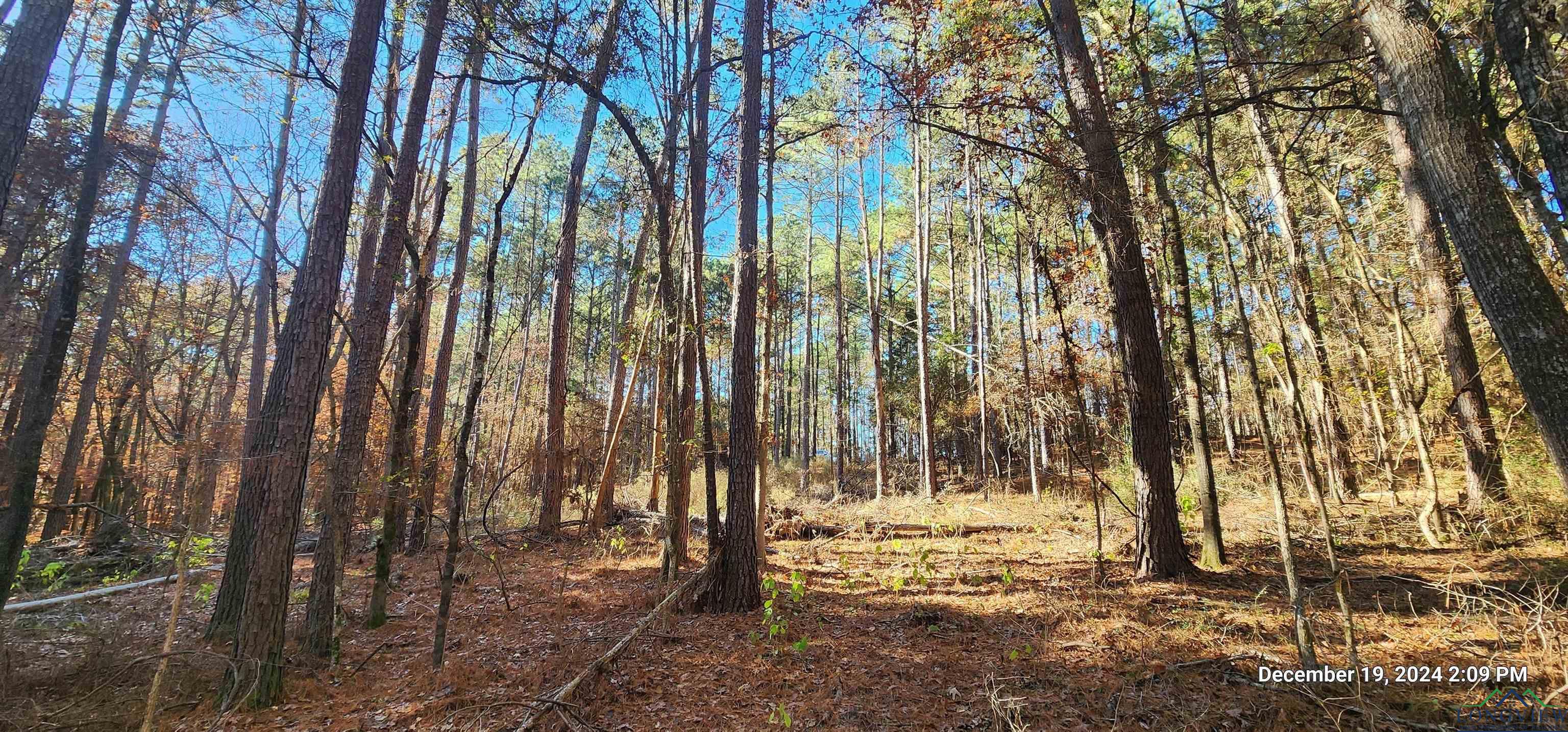 TBD Cr 405, San Augustine, Texas image 13