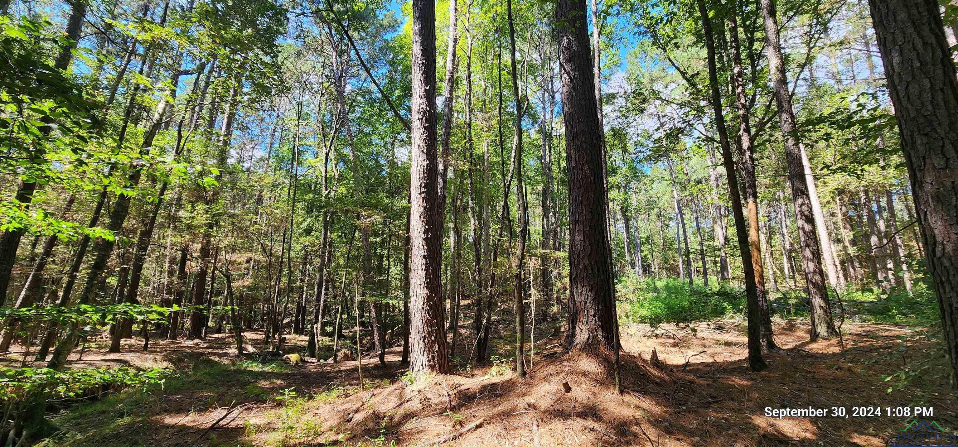 TBD Cr 405, San Augustine, Texas image 3