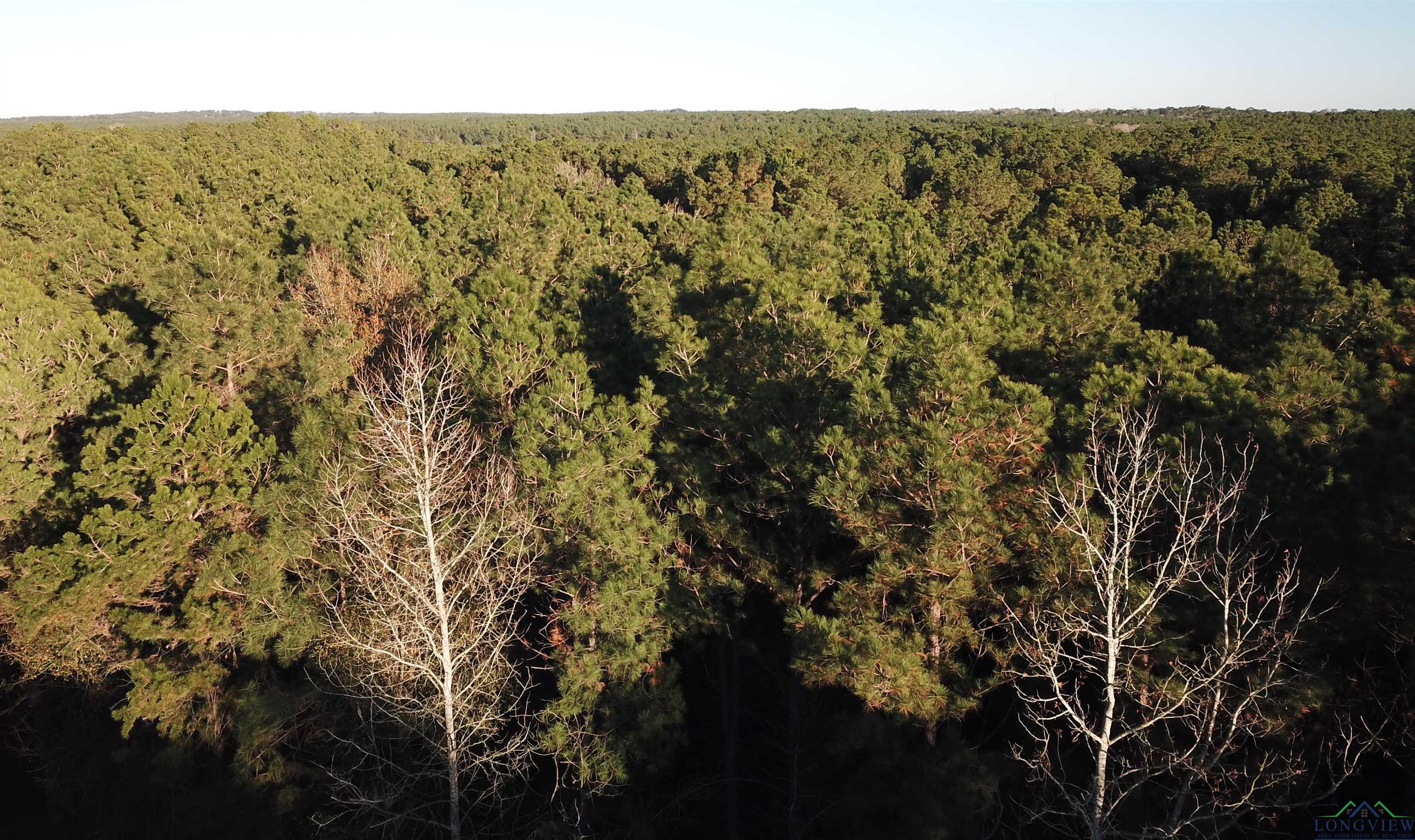 TBD Cr 405, San Augustine, Texas image 33