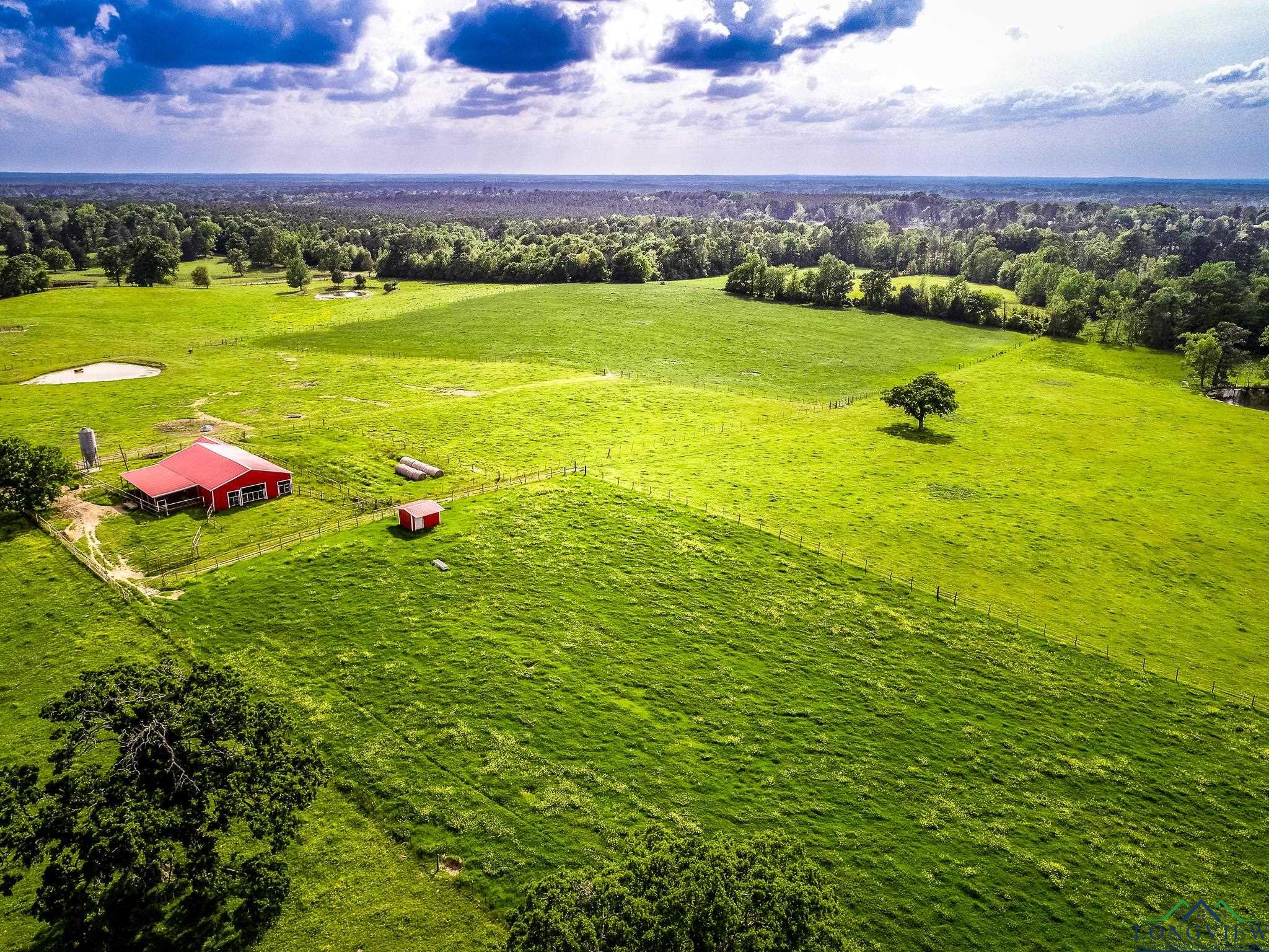 2128 Fm 3359, Carthage, Texas image 25