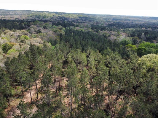 TBD FM 138, CENTER, TX 75935 - Image 52c7cb6565d9d0c009e32dce7c8ddaa3/3914388974