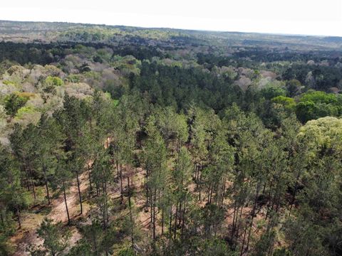 Vacant Land For Sale - TBD Fm 138<br/> Shelby County, Center, TX 75935