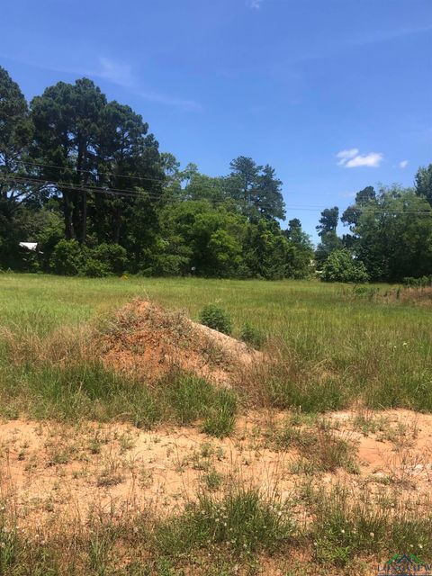 Vacant Land For Sale - TBD Meadow Lane<br/> Morris County, Naples, TX 75568