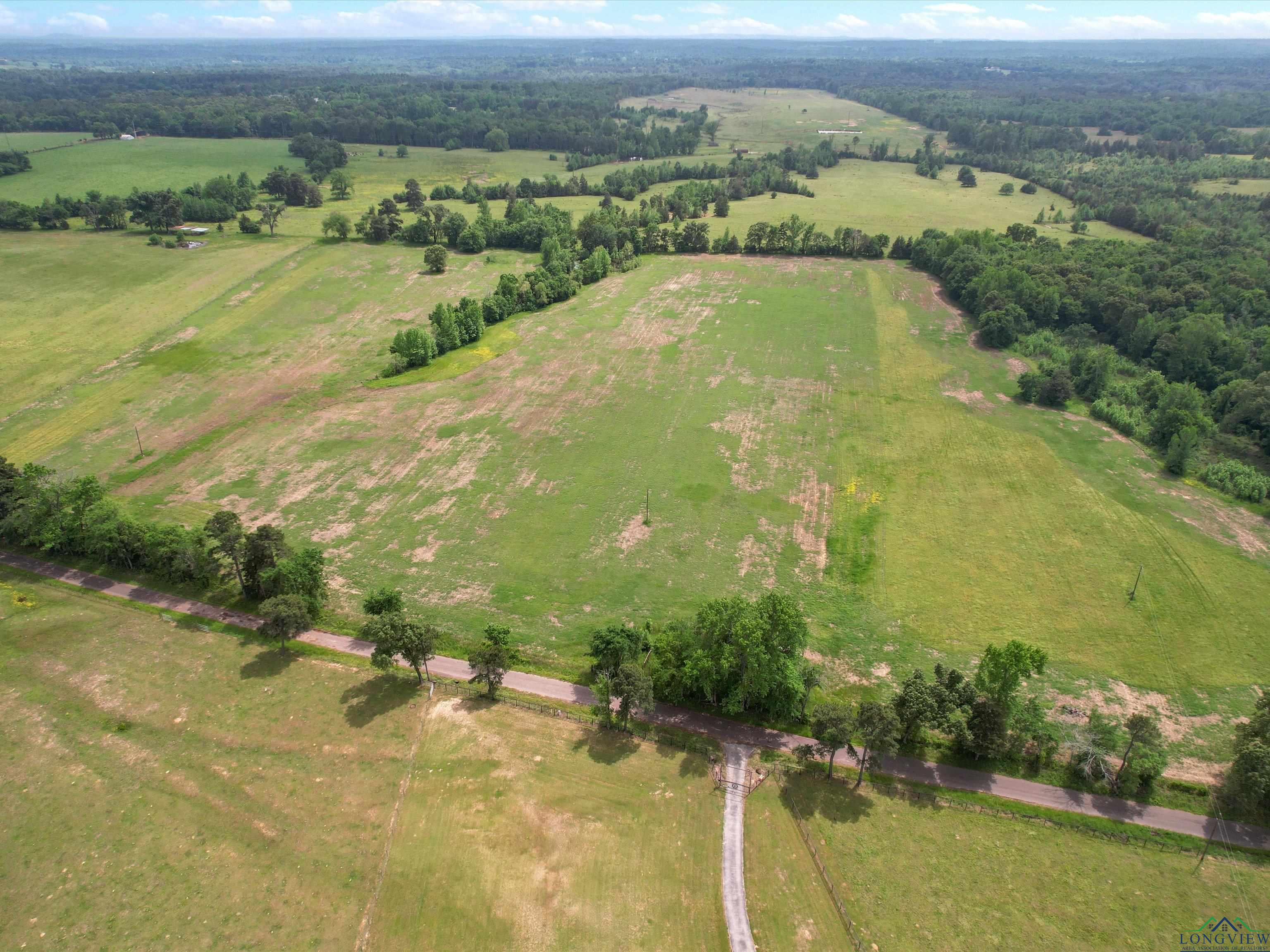 TBD Hyena Rd, Gilmer, Texas image 4