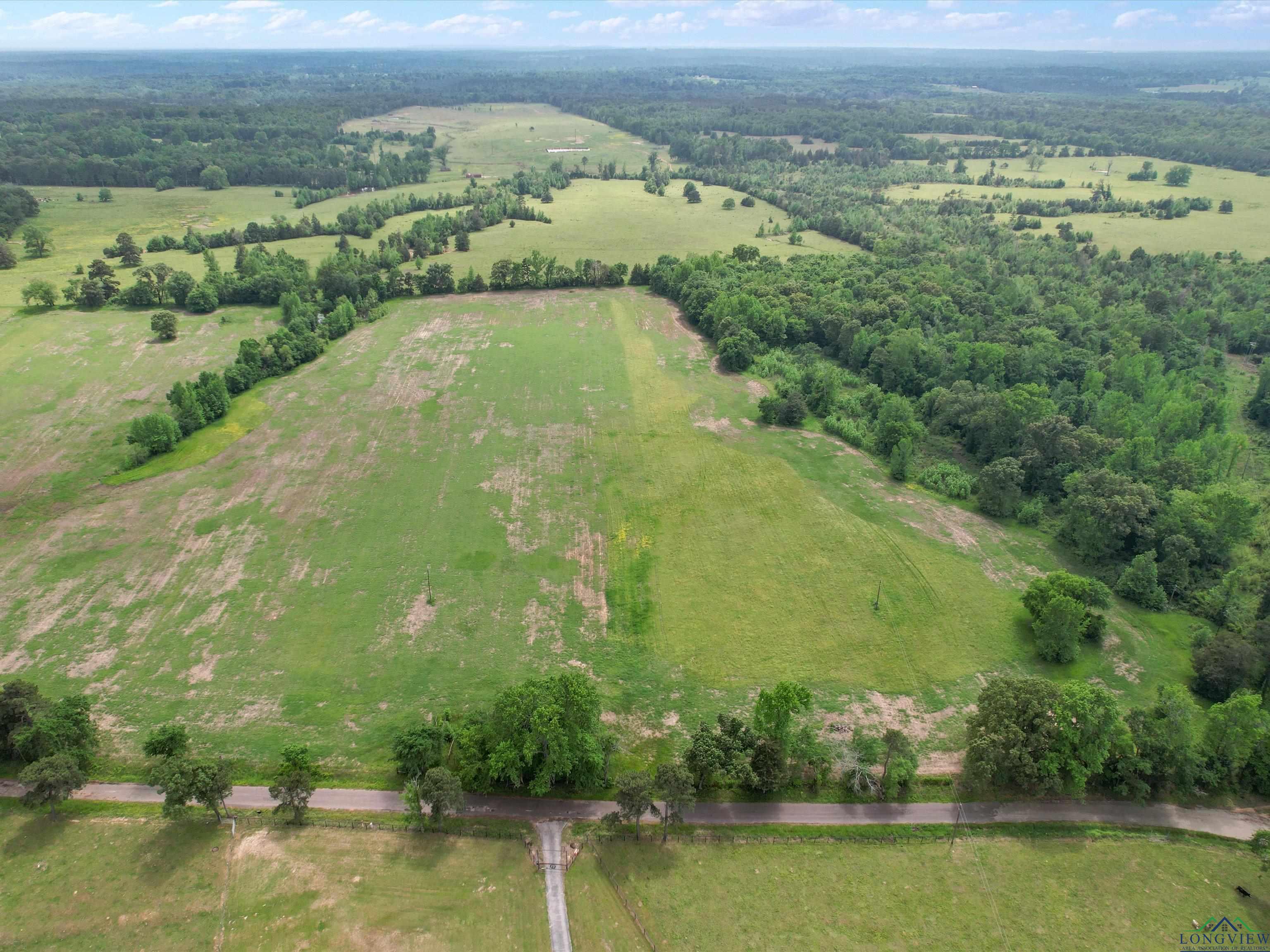 TBD Hyena Rd, Gilmer, Texas image 6