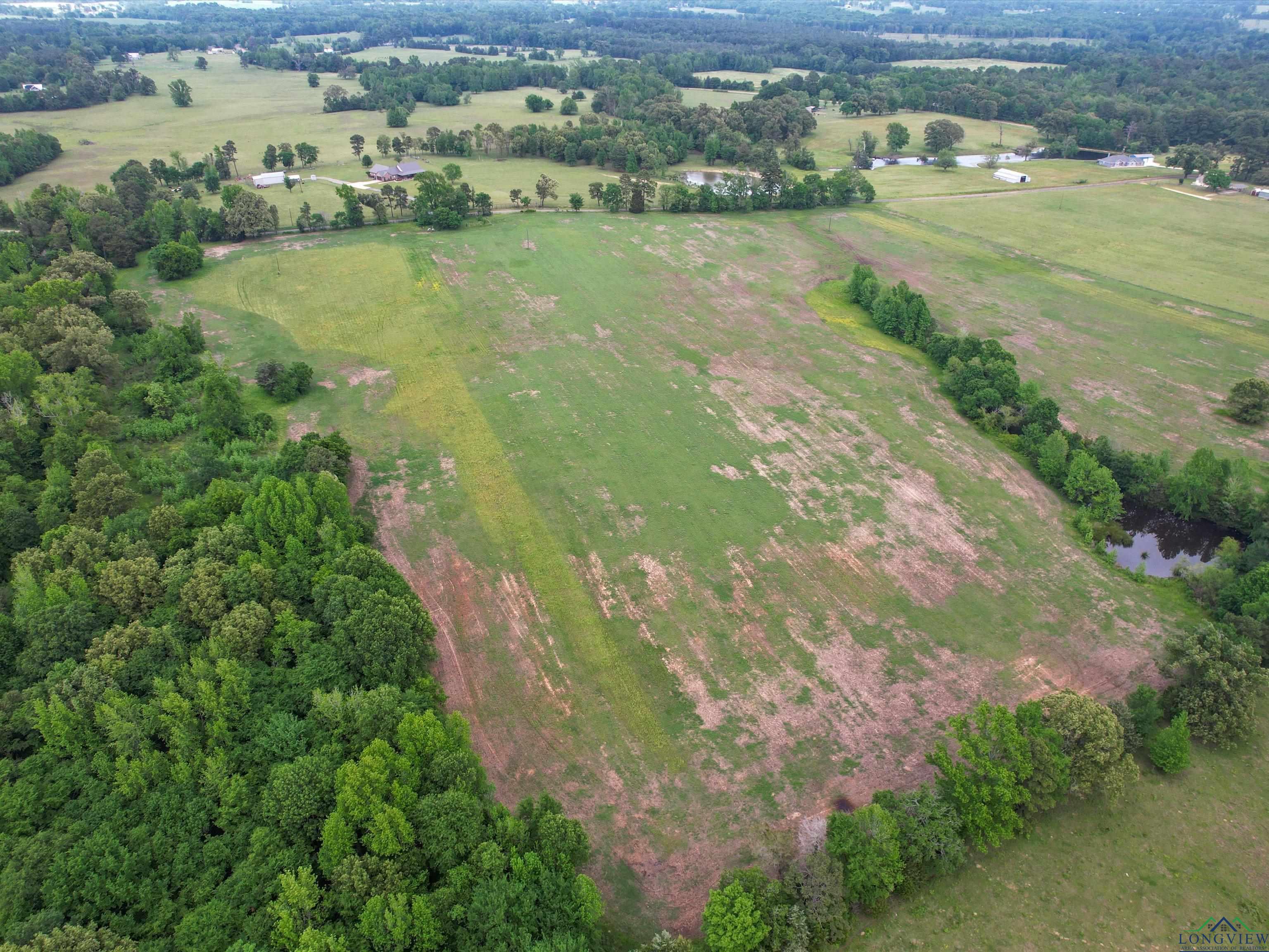 TBD Hyena Rd, Gilmer, Texas image 3