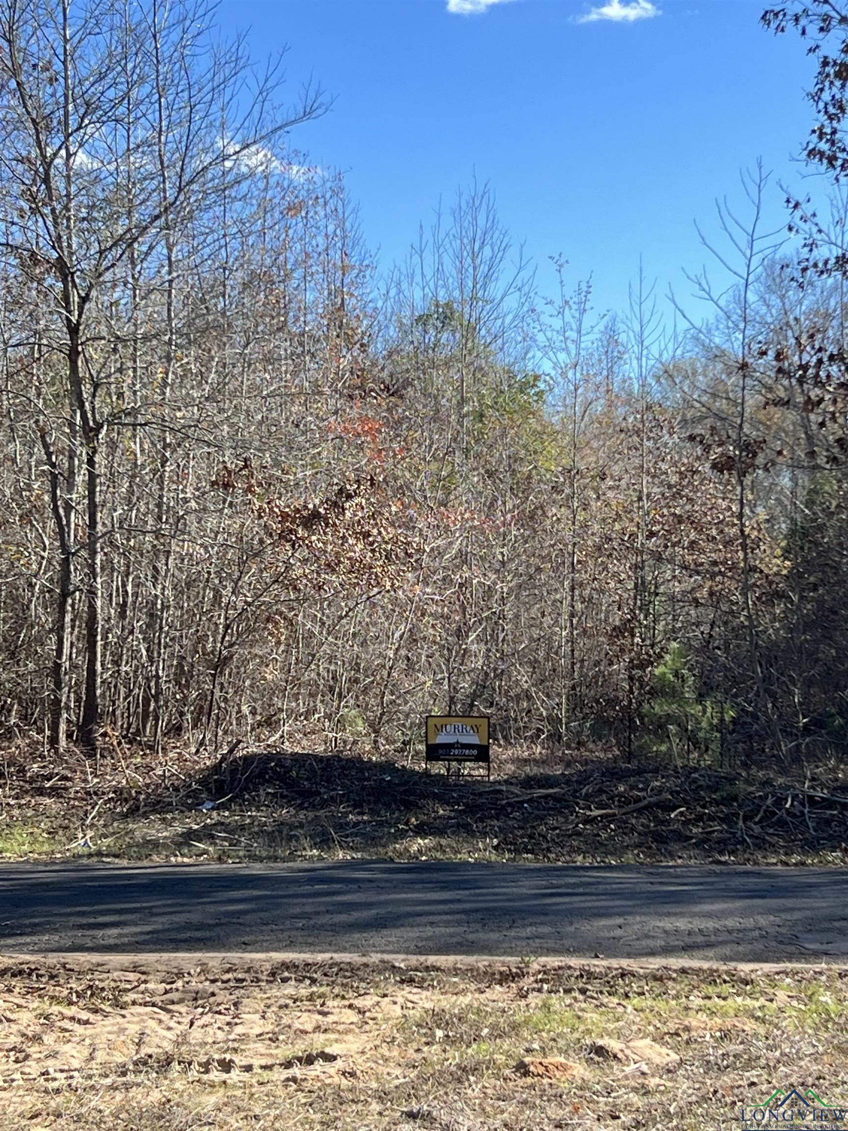 TBD Cr 129 & Cr 112, Tyler, Texas image 8