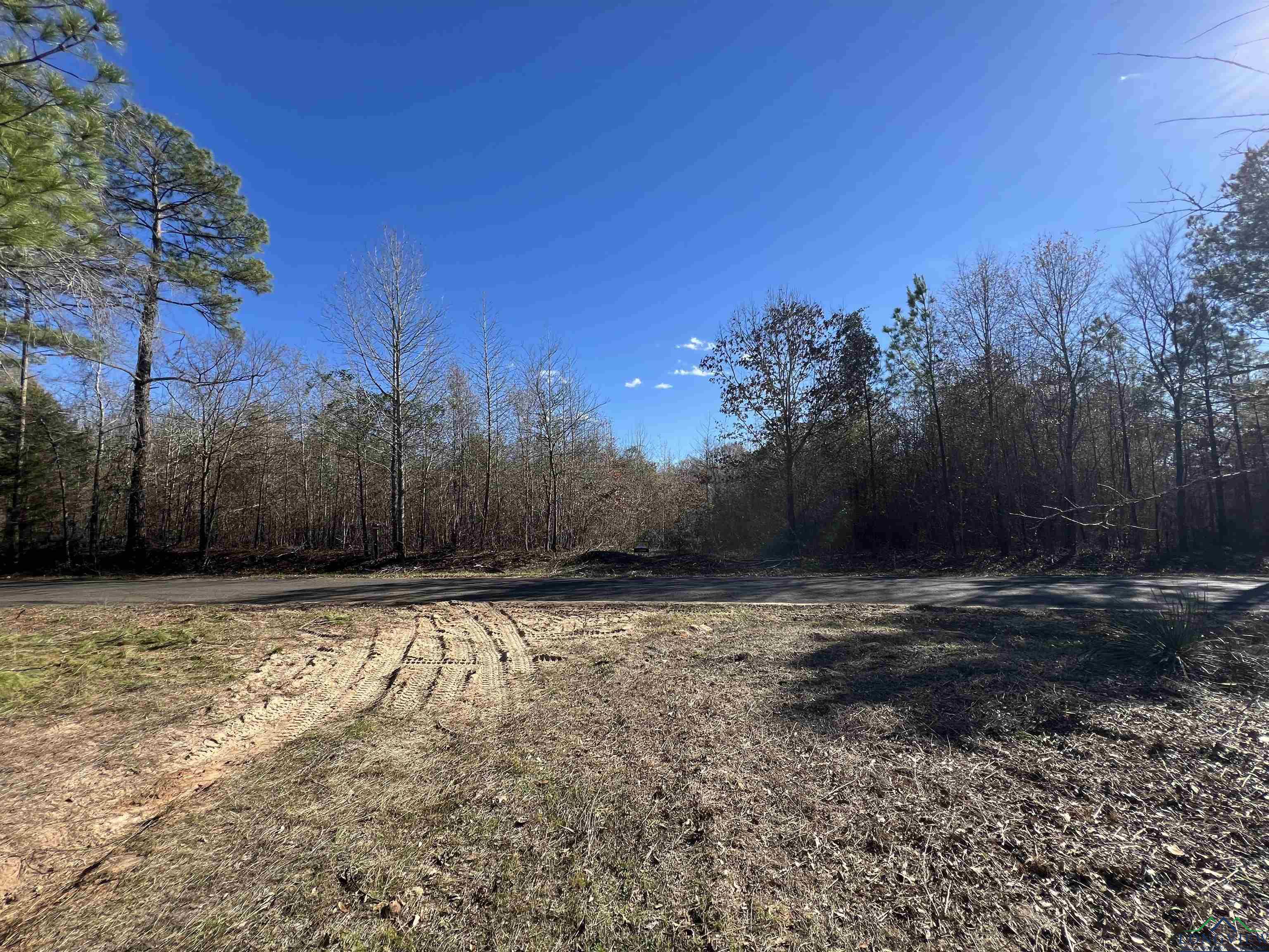 TBD Cr 129 & Cr 112, Tyler, Texas image 7