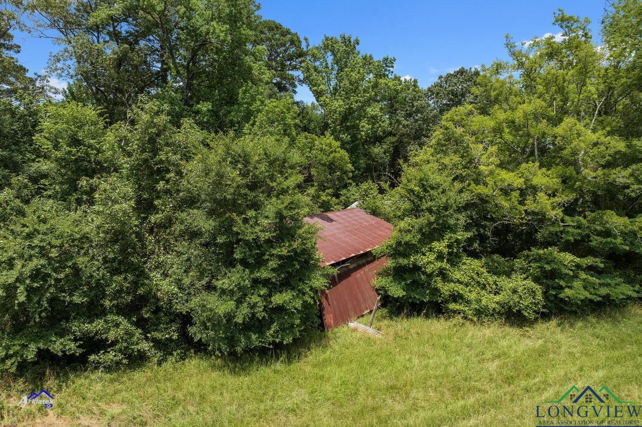 TBD Hwy 149, Carthage, Texas image 2