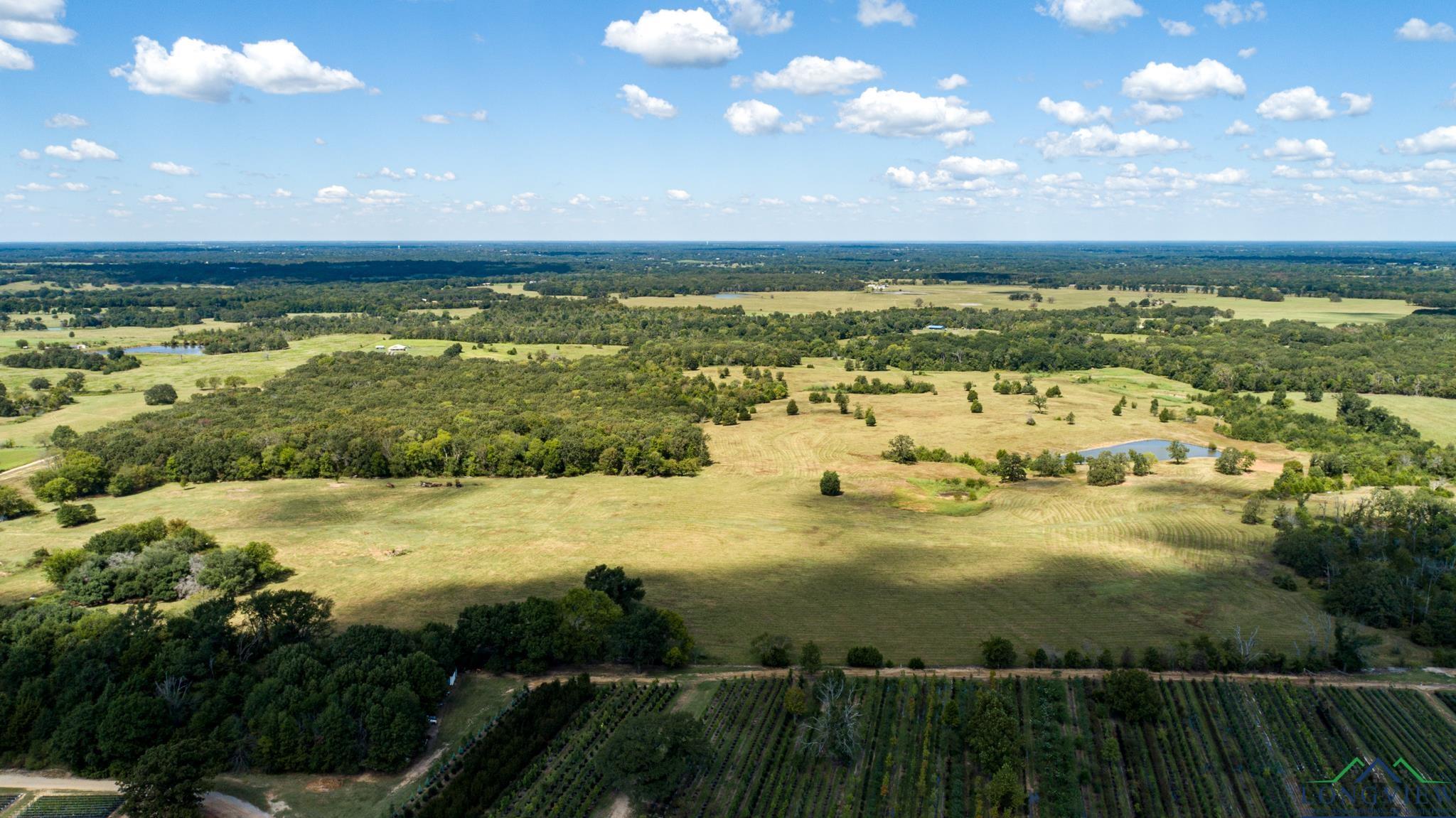 00 Vz County Road 1123, Fruitvale, Texas image 11