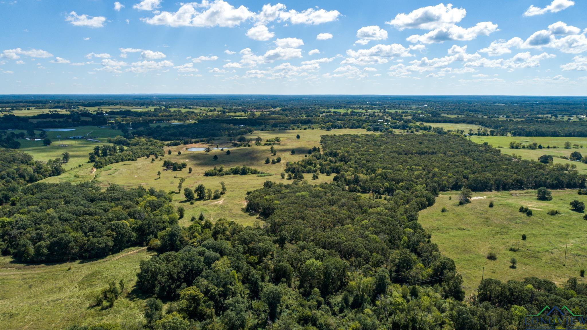 00 Vz County Road 1123, Fruitvale, Texas image 9