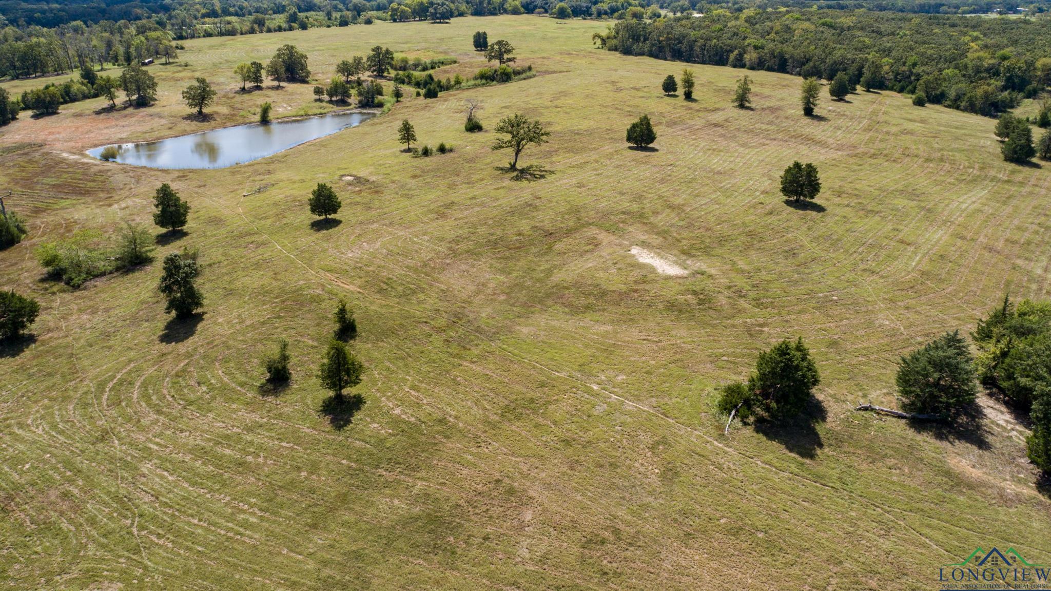 00 Vz County Road 1123, Fruitvale, Texas image 15