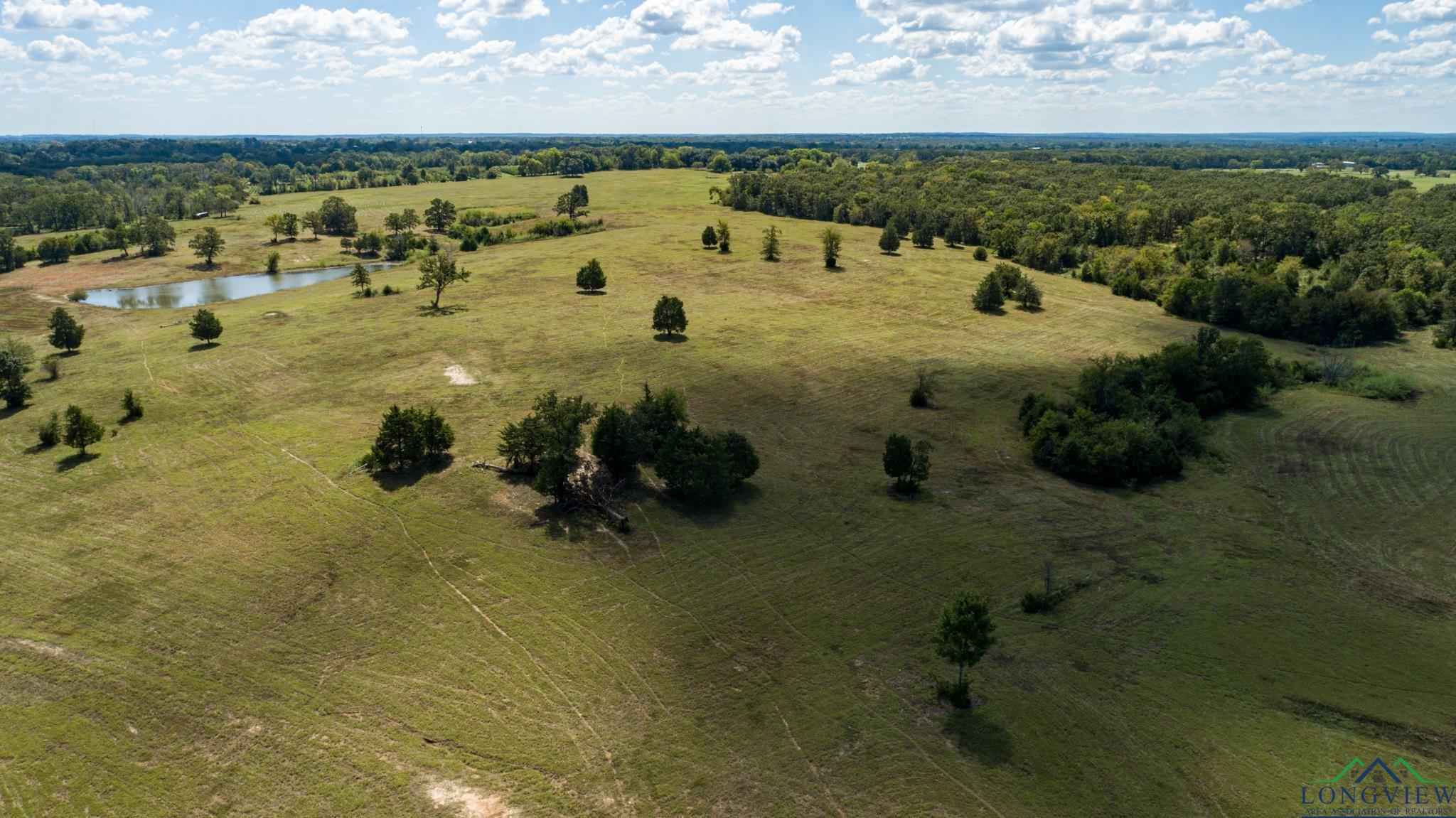 00 Vz County Road 1123, Fruitvale, Texas image 17