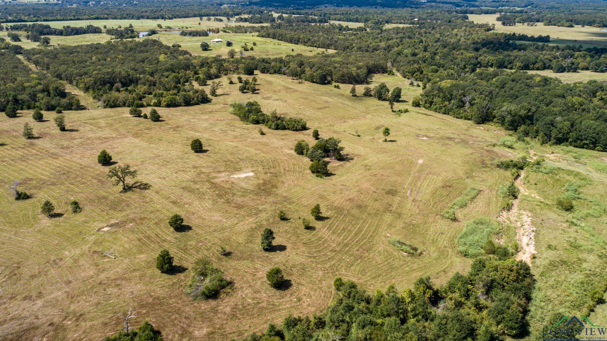 00 Vz County Road 1123, Fruitvale, Texas image 14