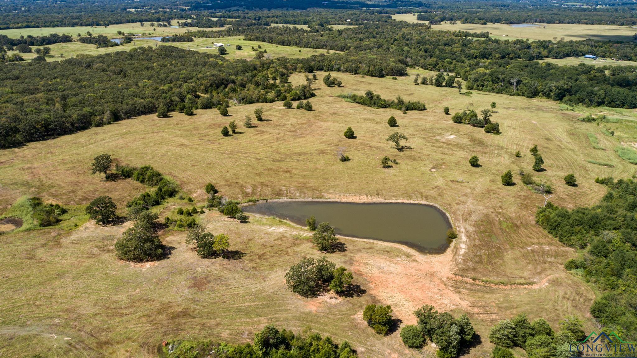 00 Vz County Road 1123, Fruitvale, Texas image 13