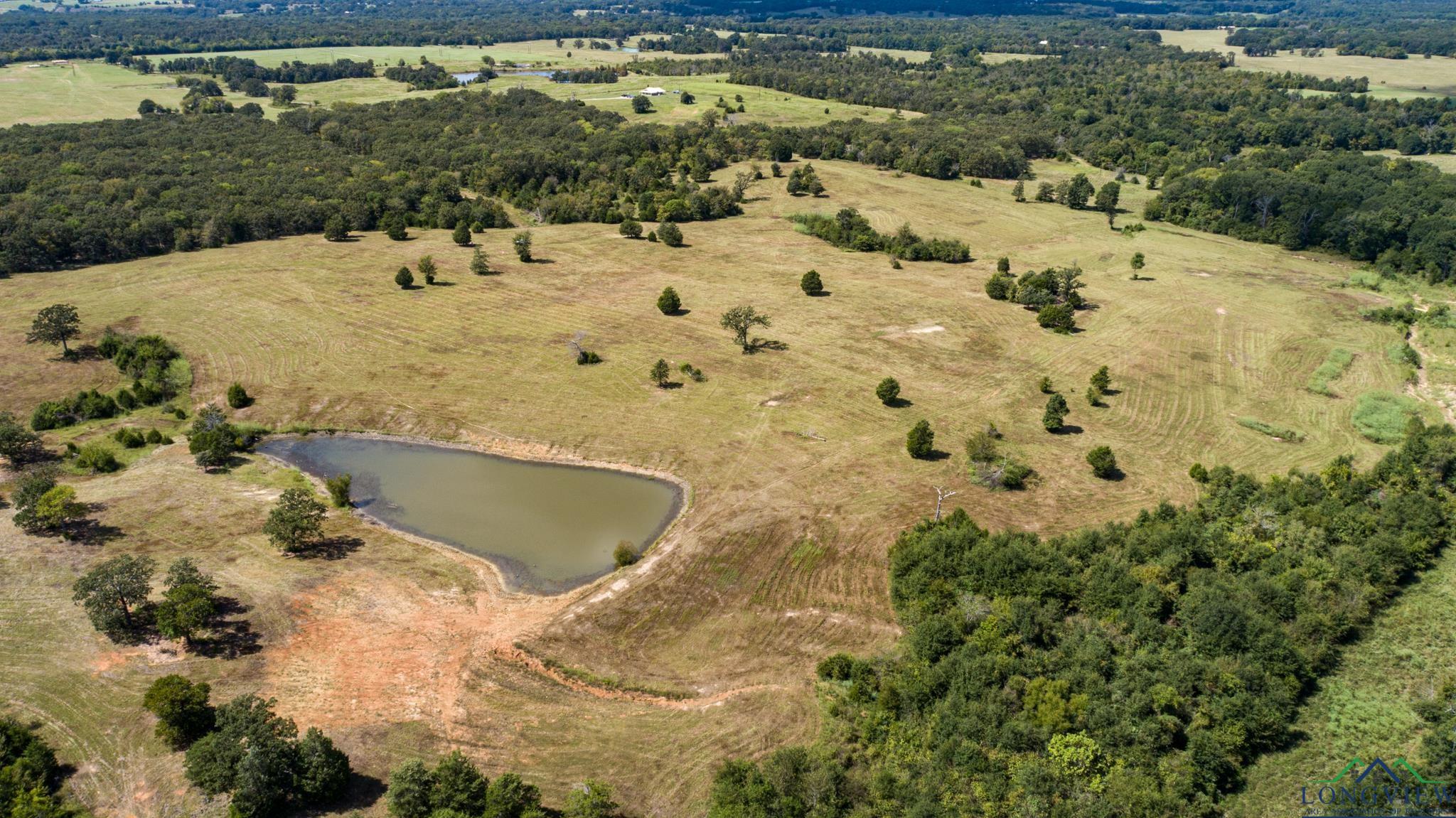 00 Vz County Road 1123, Fruitvale, Texas image 1