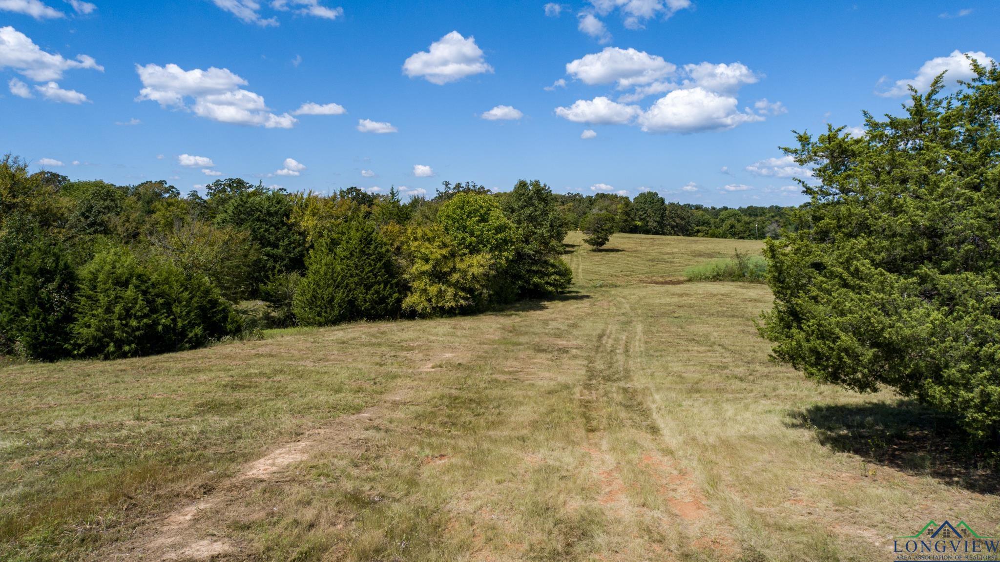 00 Vz County Road 1123, Fruitvale, Texas image 19