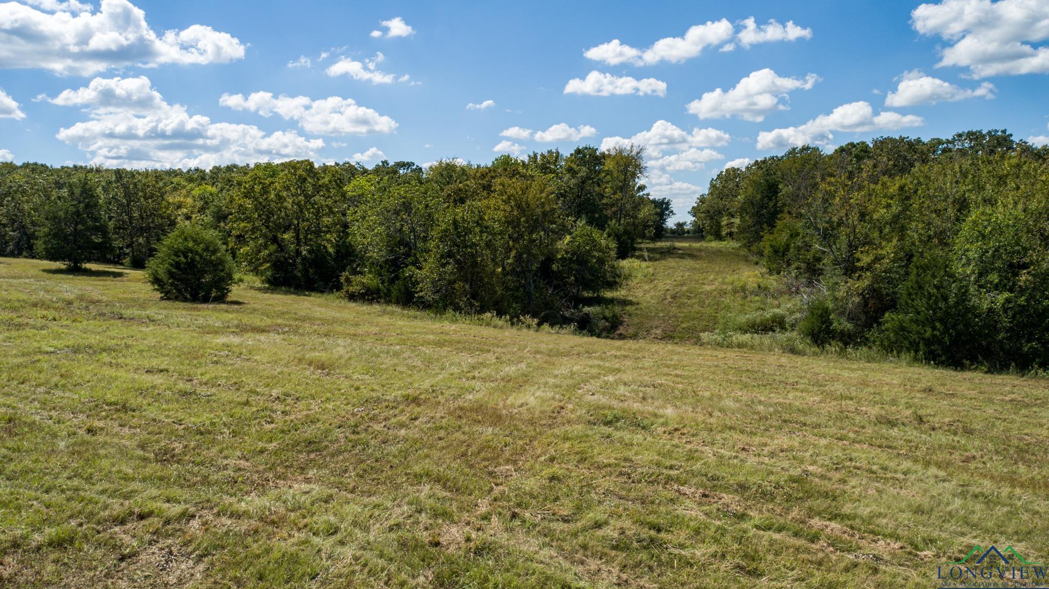 00 Vz County Road 1123, Fruitvale, Texas image 18