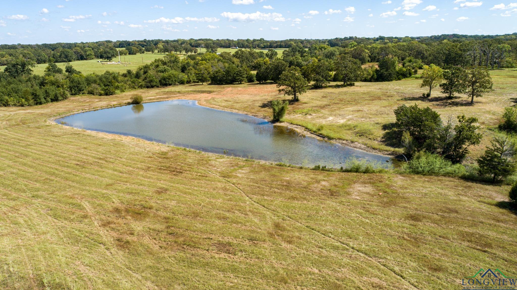 00 Vz County Road 1123, Fruitvale, Texas image 4