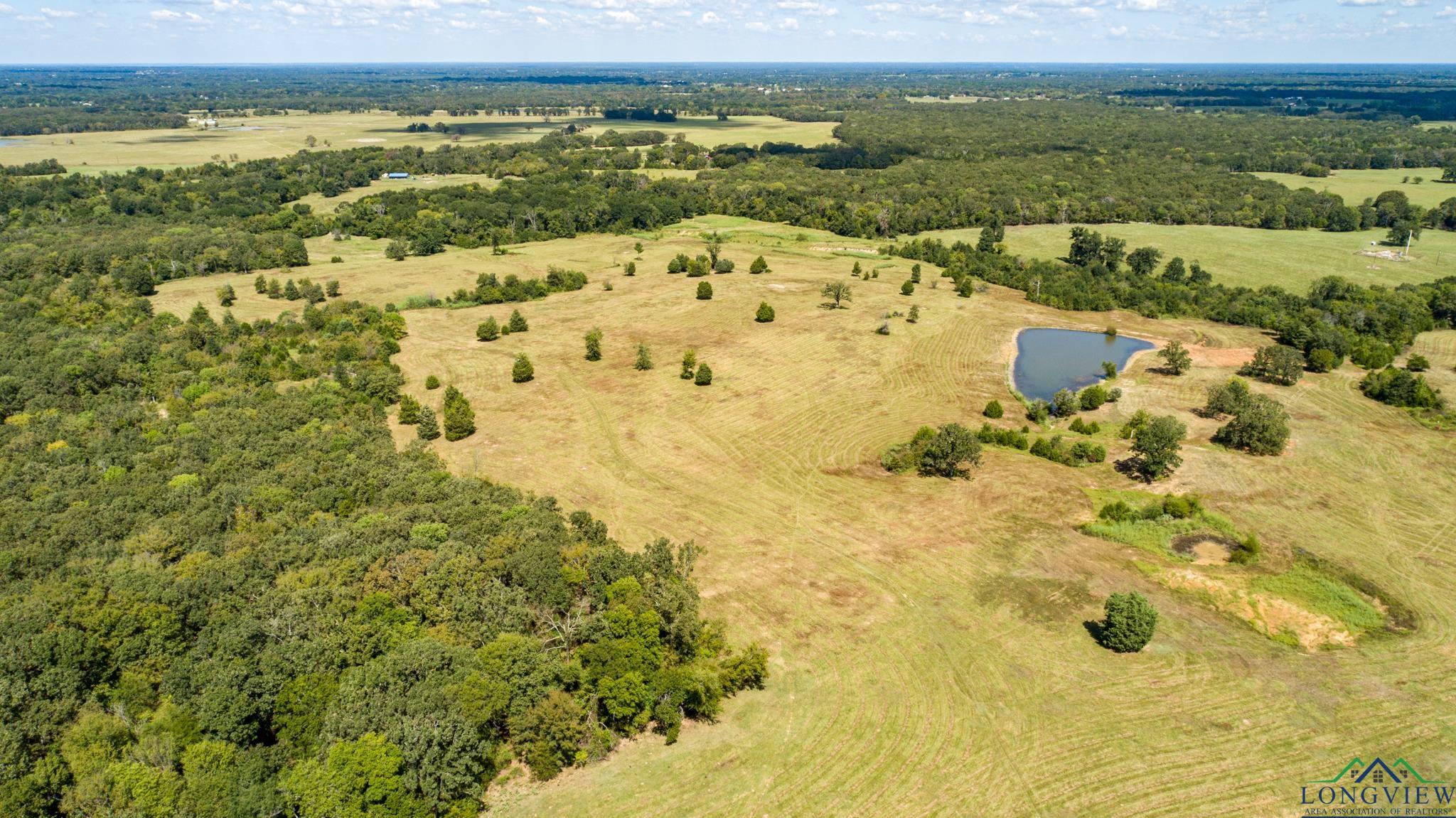 00 Vz County Road 1123, Fruitvale, Texas image 12